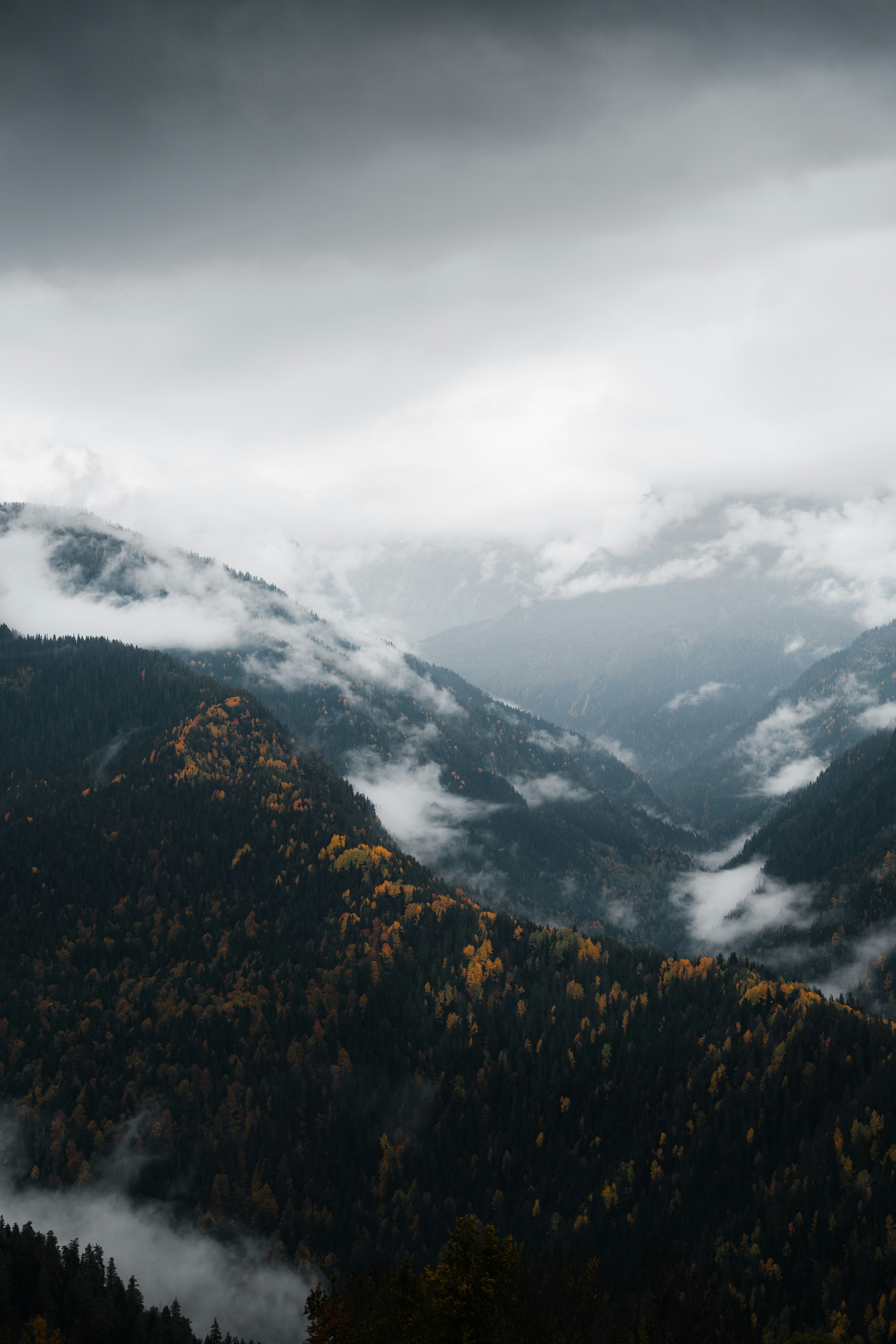 Photo by auchynnikau