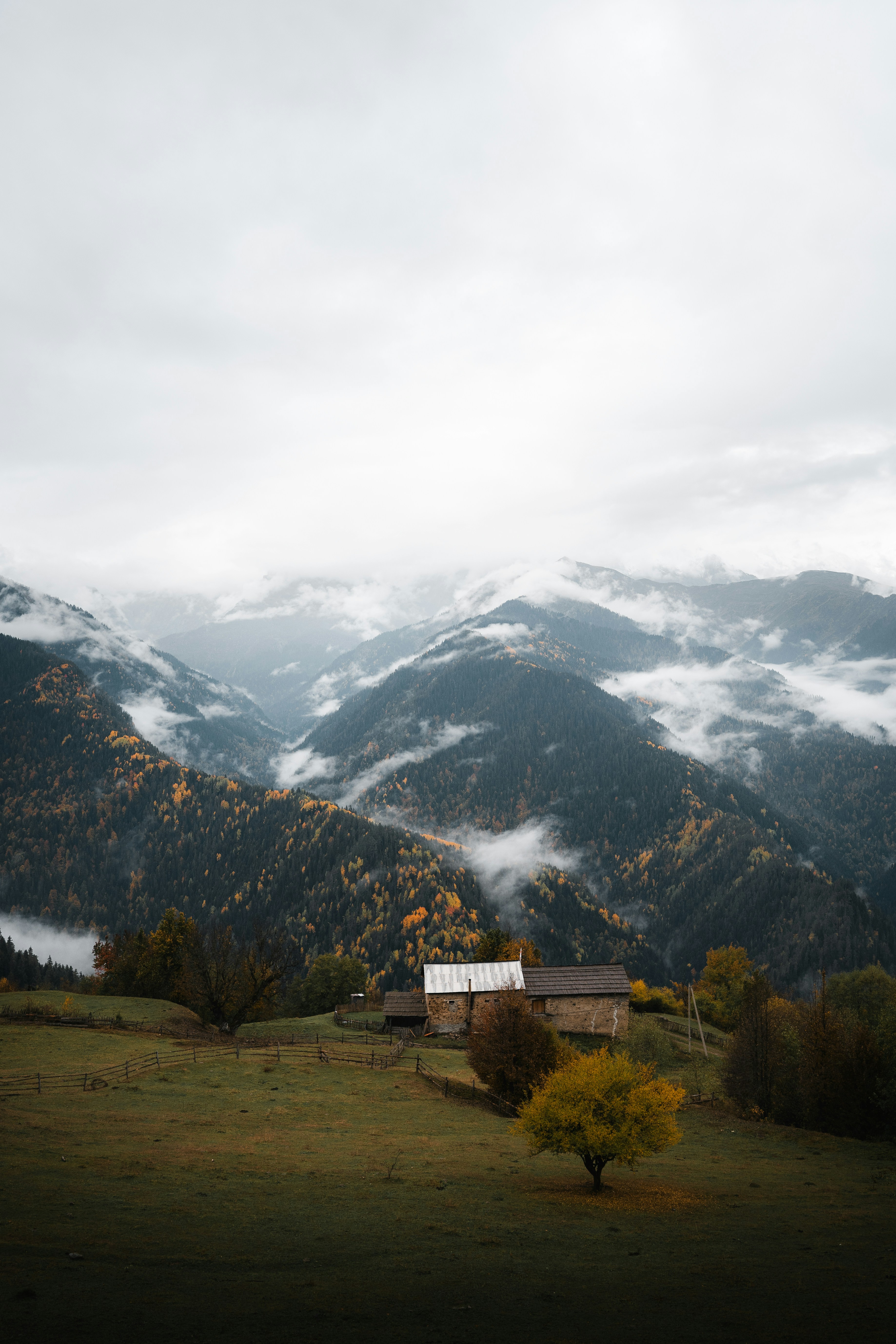 Photo by auchynnikau