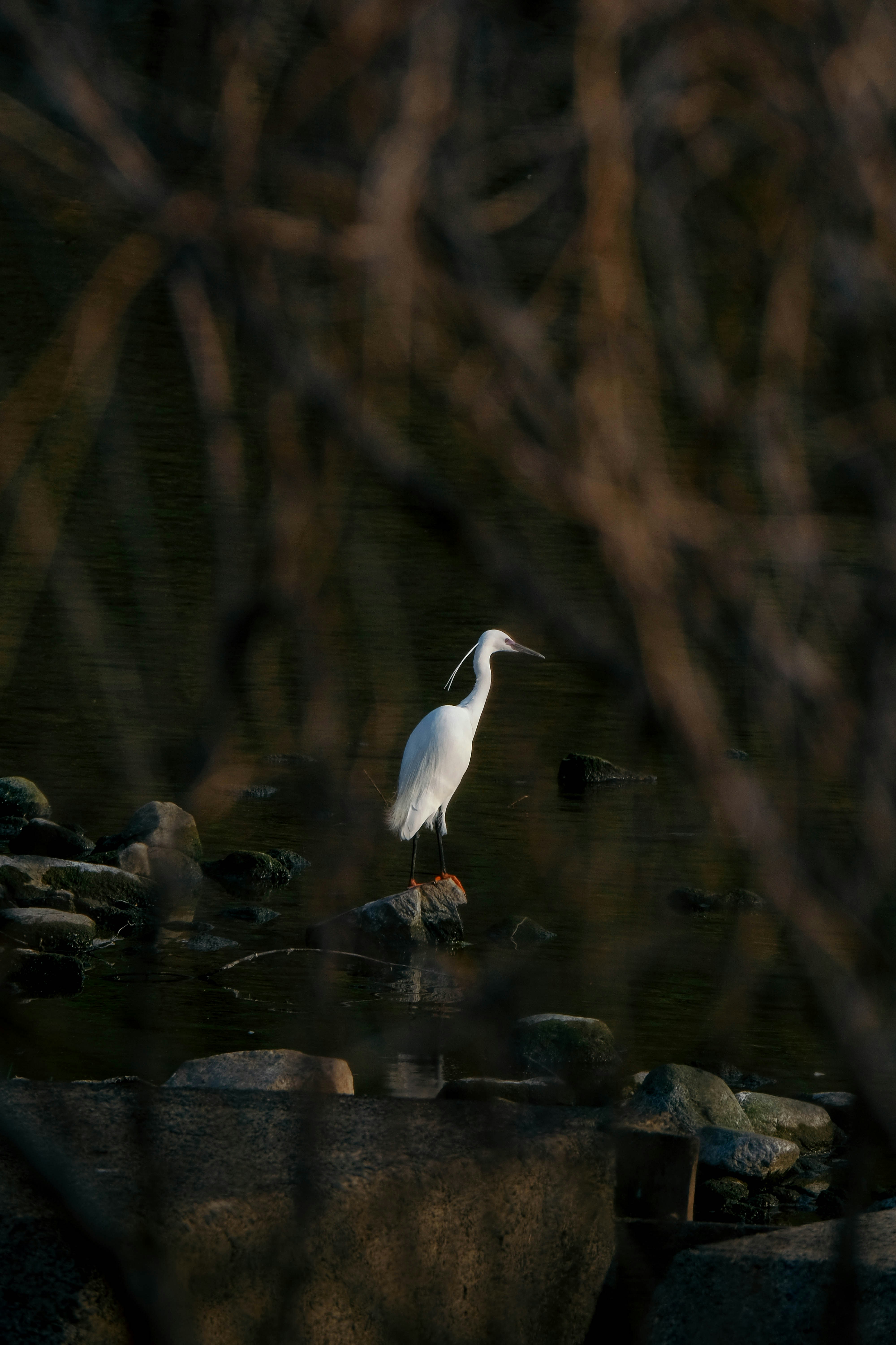 Photo by insungpandora