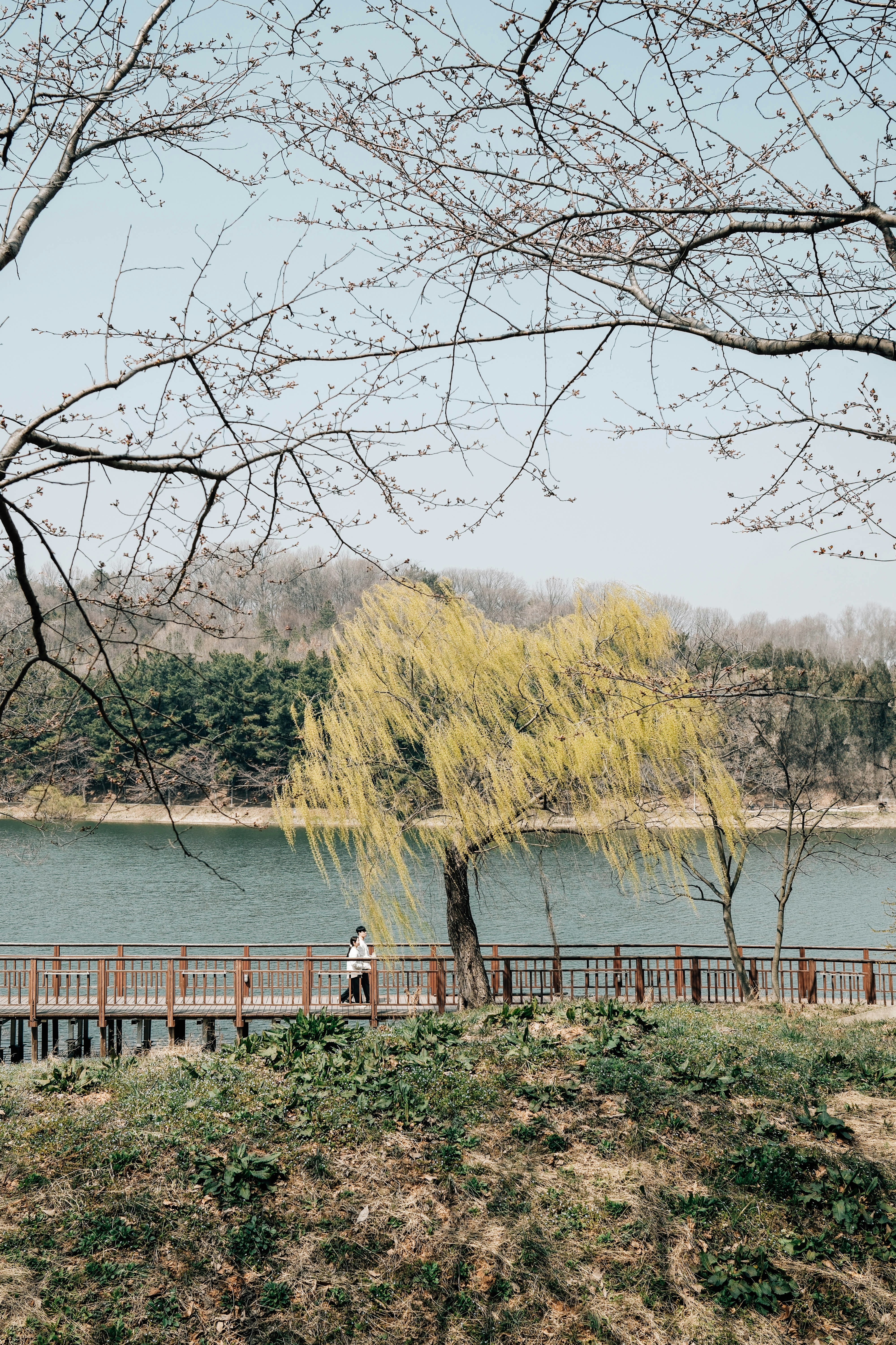 湖の近くの橋の上を歩く人々。