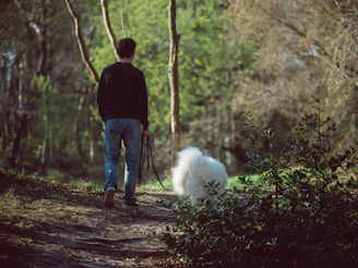 Man walks dog on a forest path.