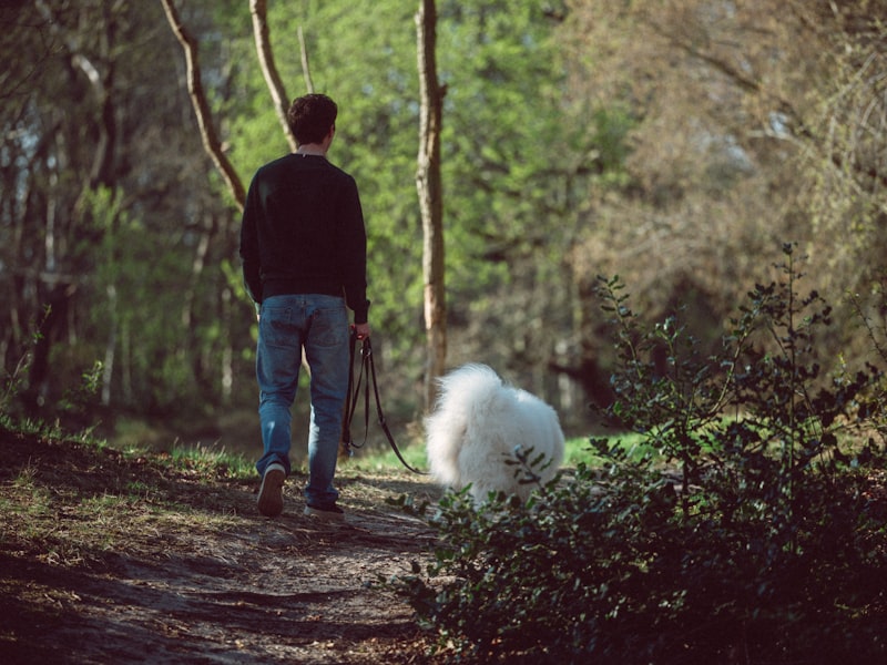 Person walking their dog in nature