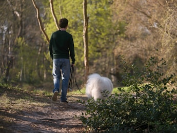 A man walks a dog in the woods.