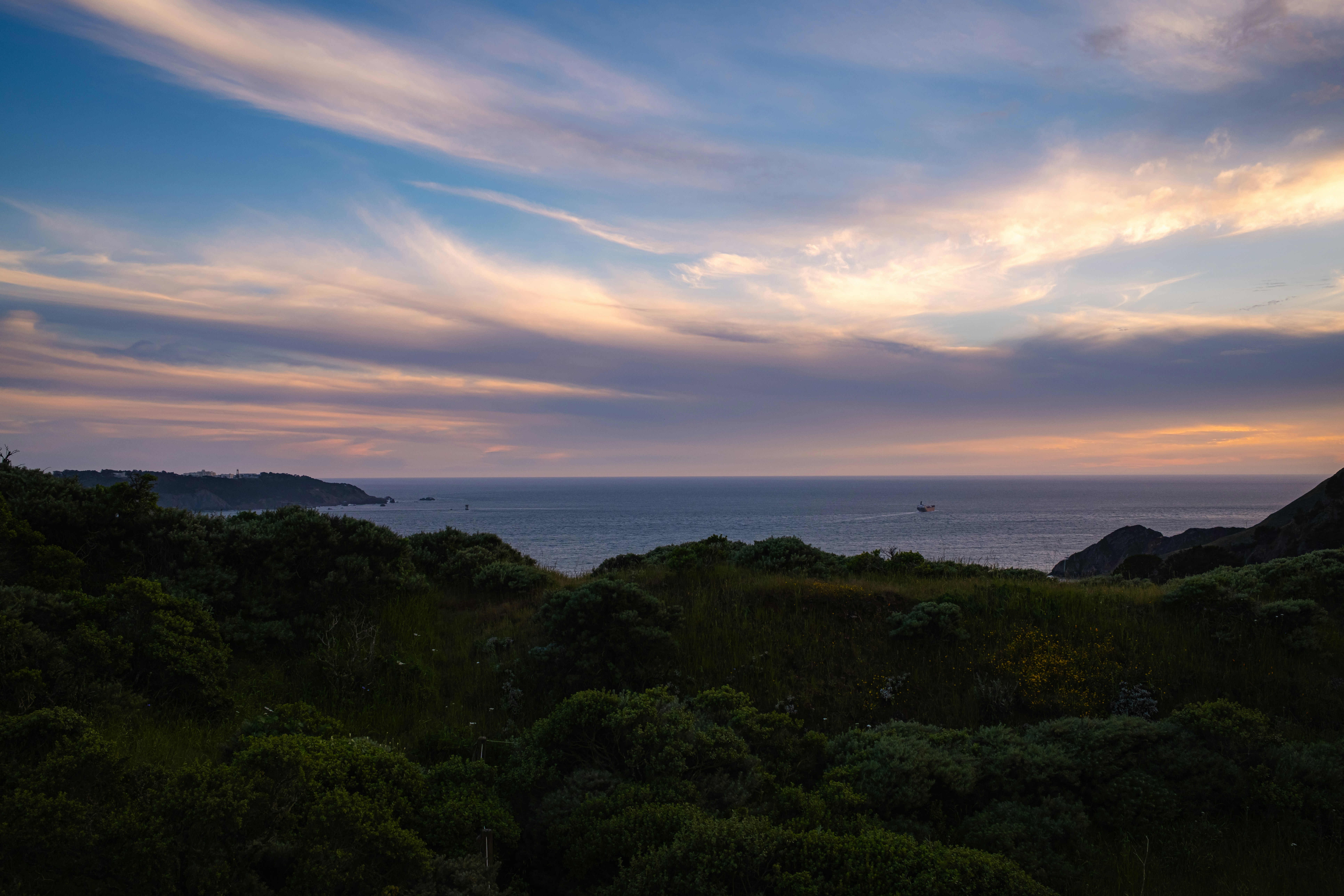 Photo by kalaniparker