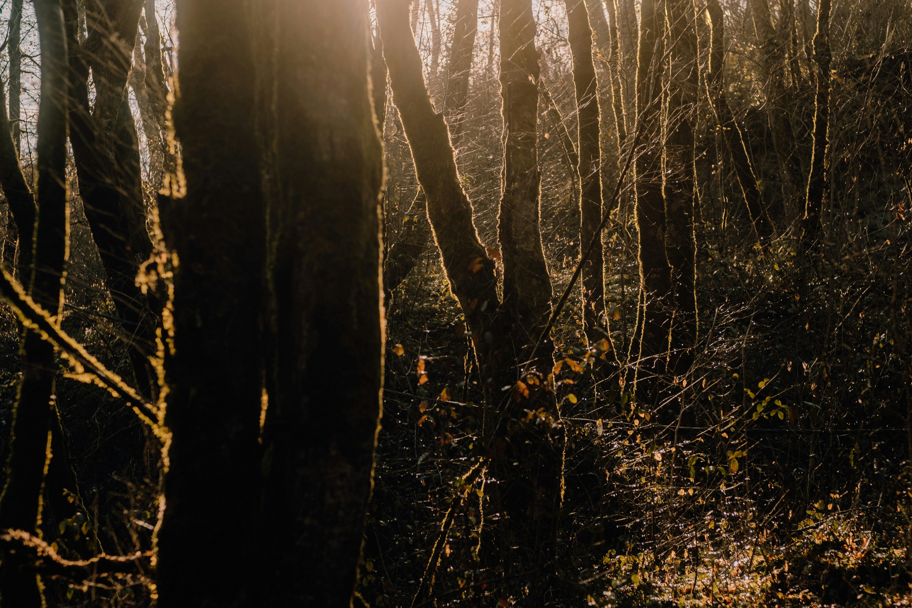 Photo by valentinakond