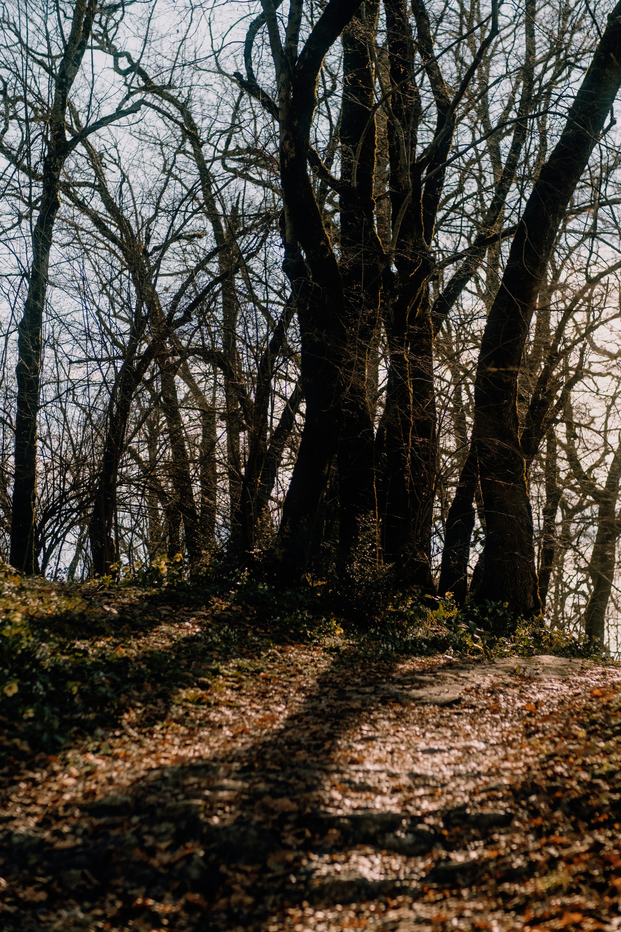 Photo by valentinakond