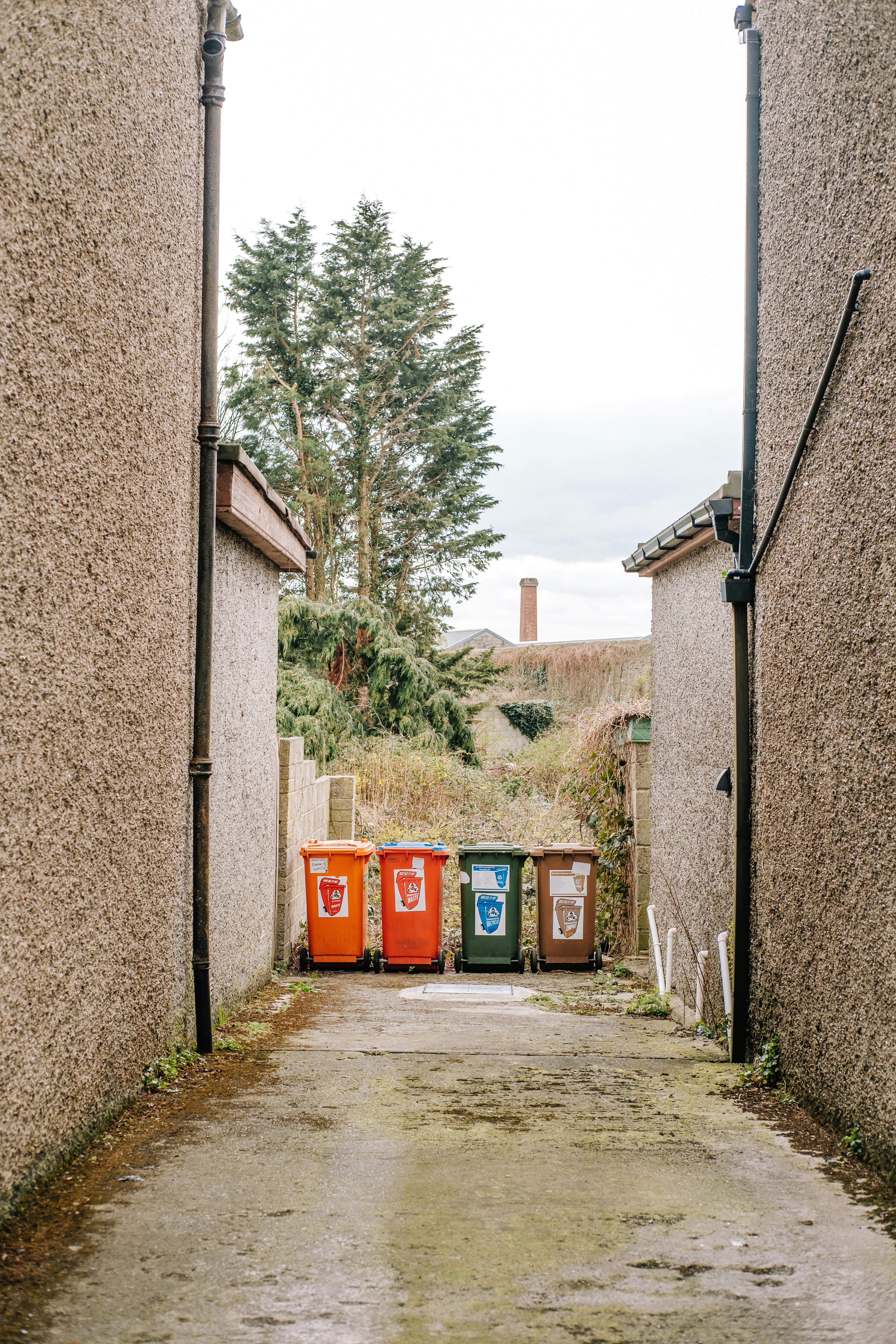 Alleyway with recycling bins in a row.
