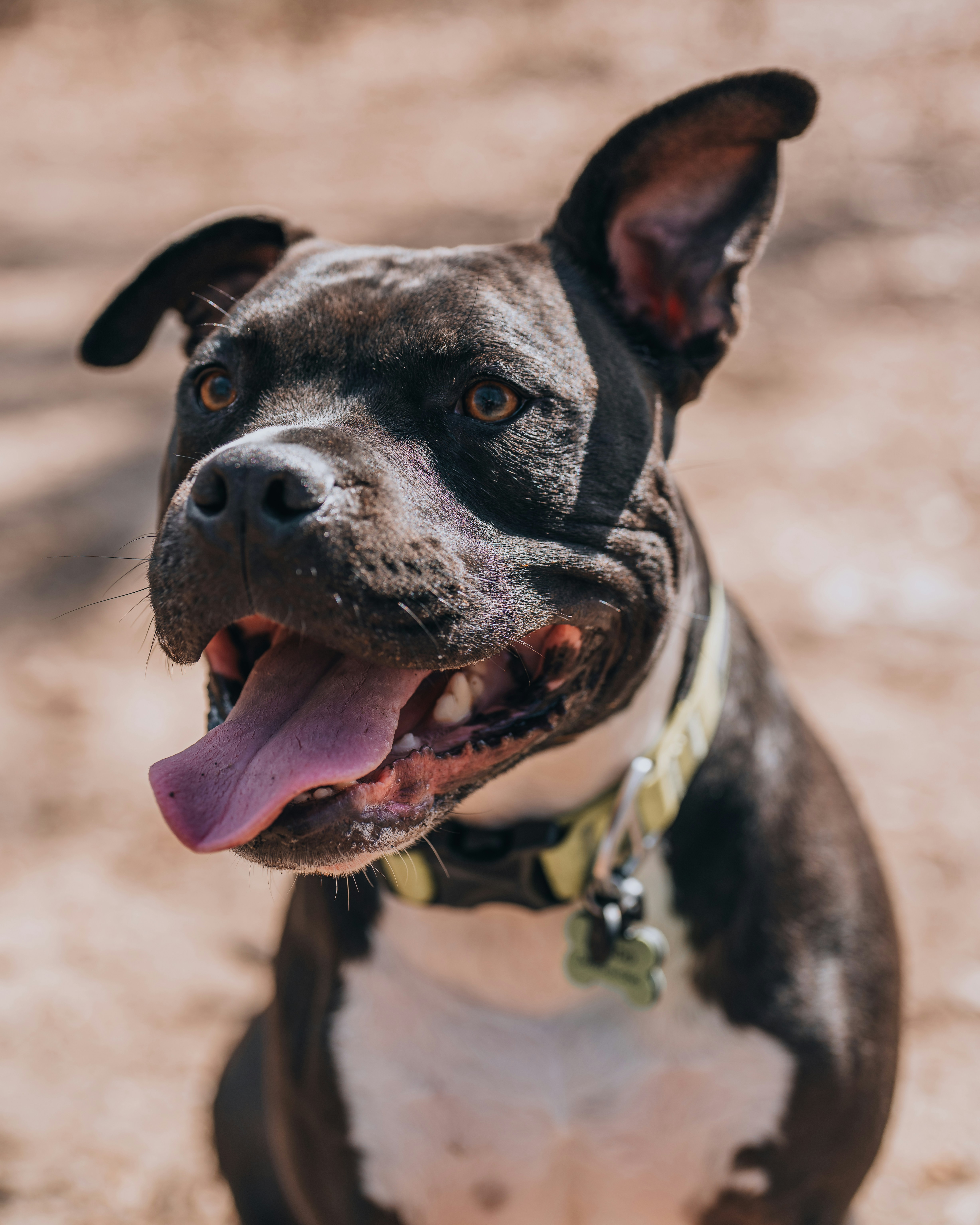 Photo by bugsandslugs