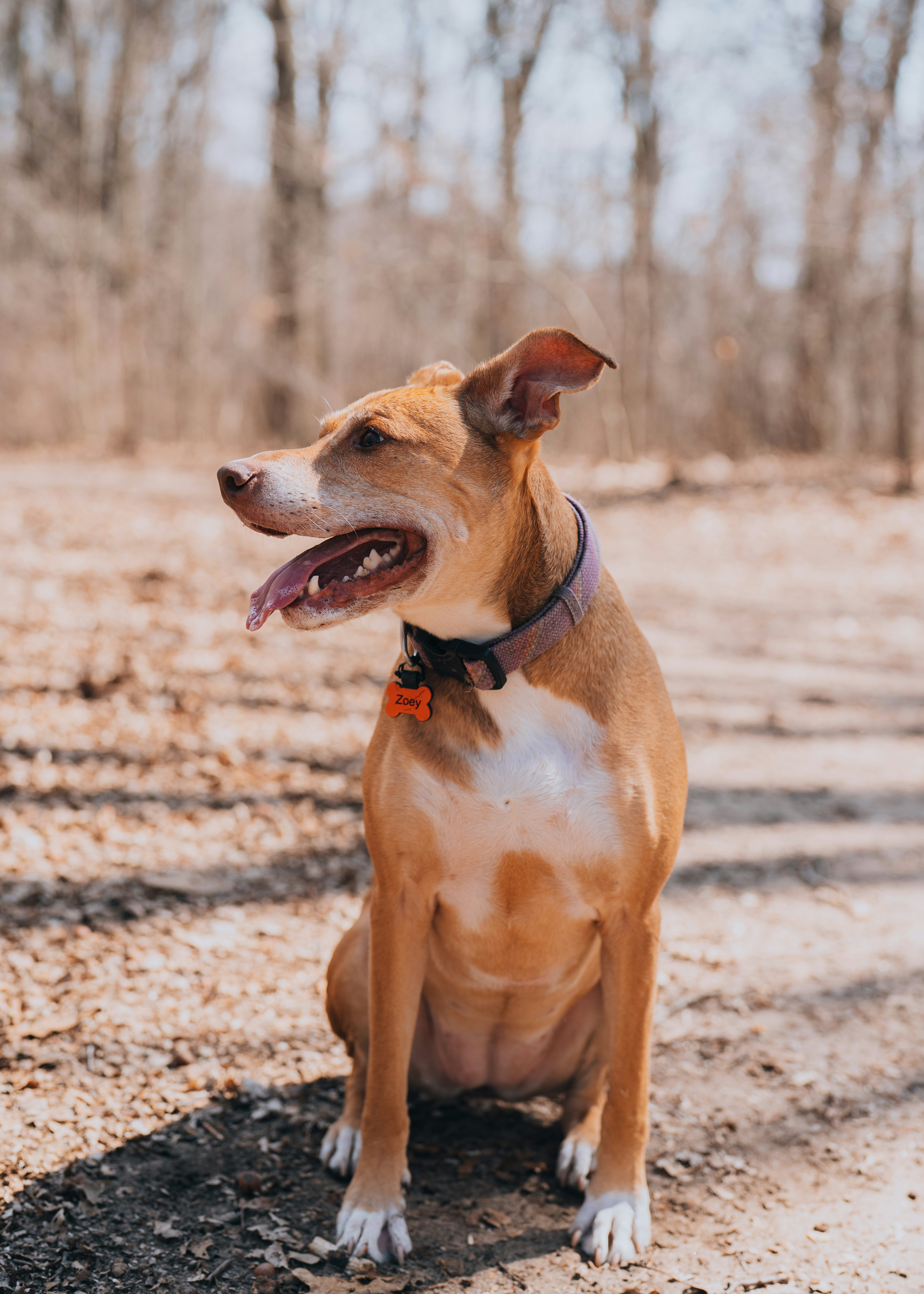 Photo by bugsandslugs