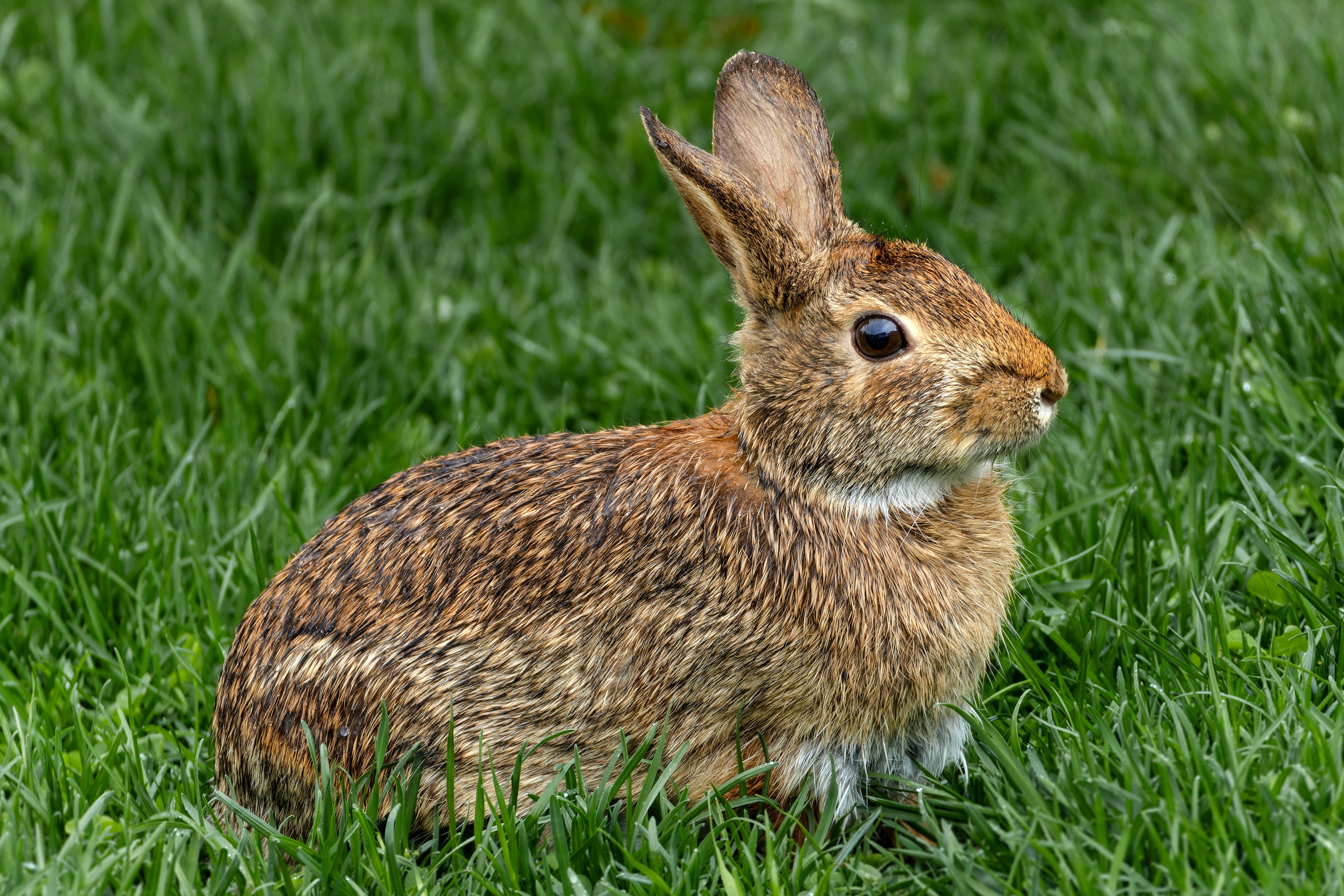 Photo by peterbbryan