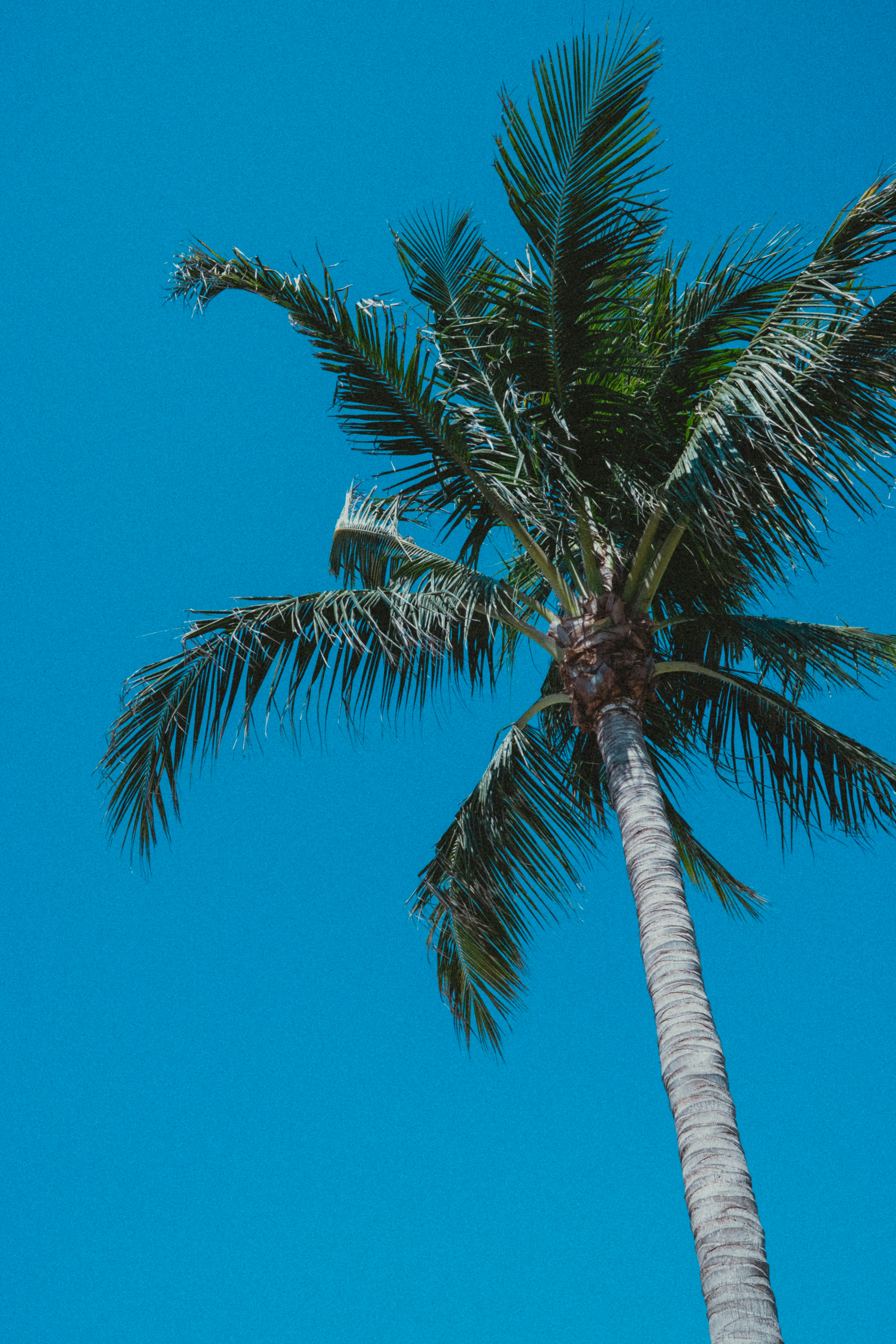 Photo by shawnmclark