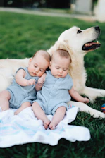 Two babies and a golden retriever are relaxing outside.
