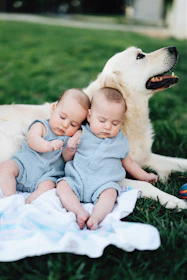 Two babies and a golden retriever are relaxing outside.