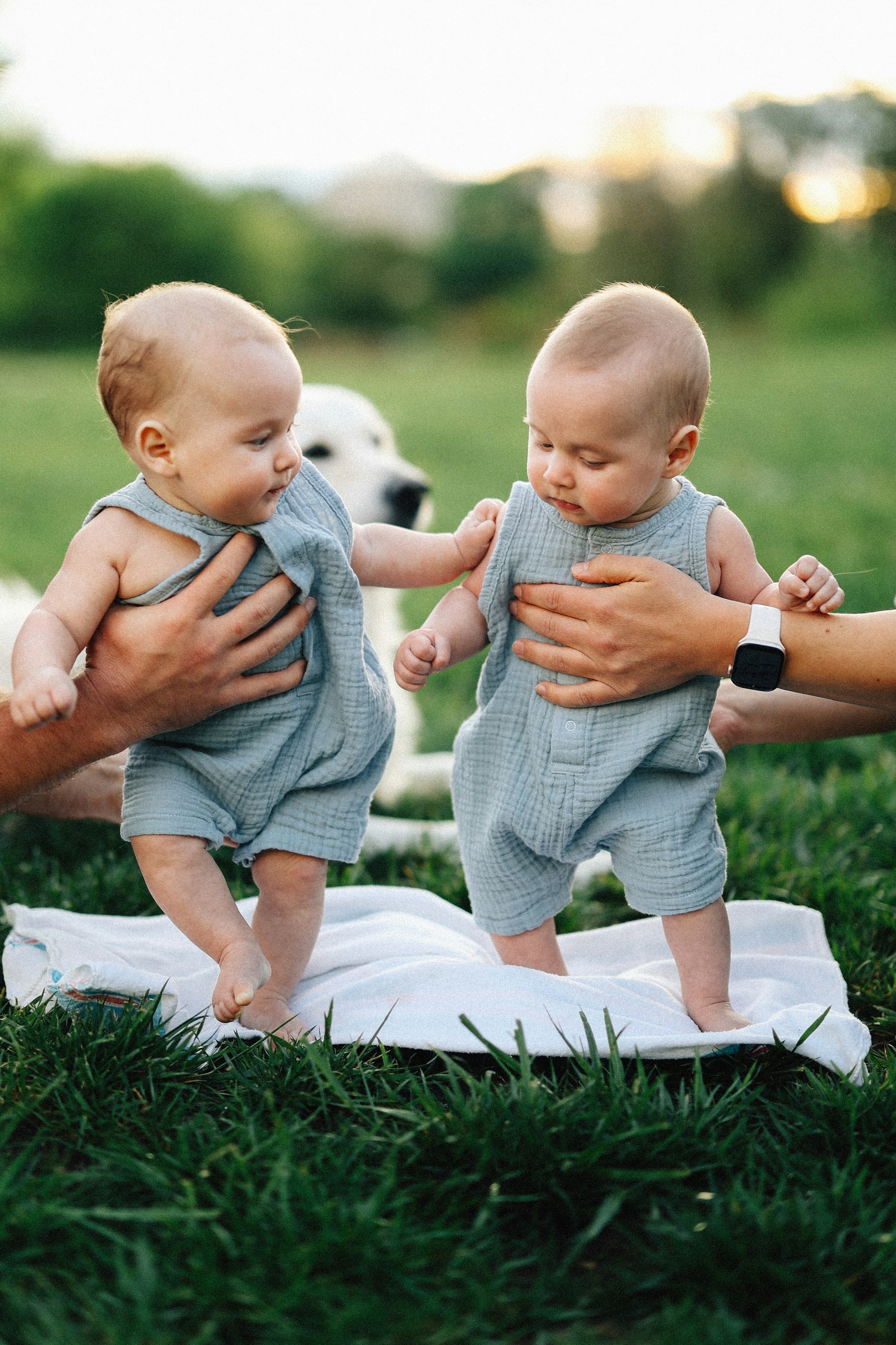 Twin babies are learning to walk with assistance.
