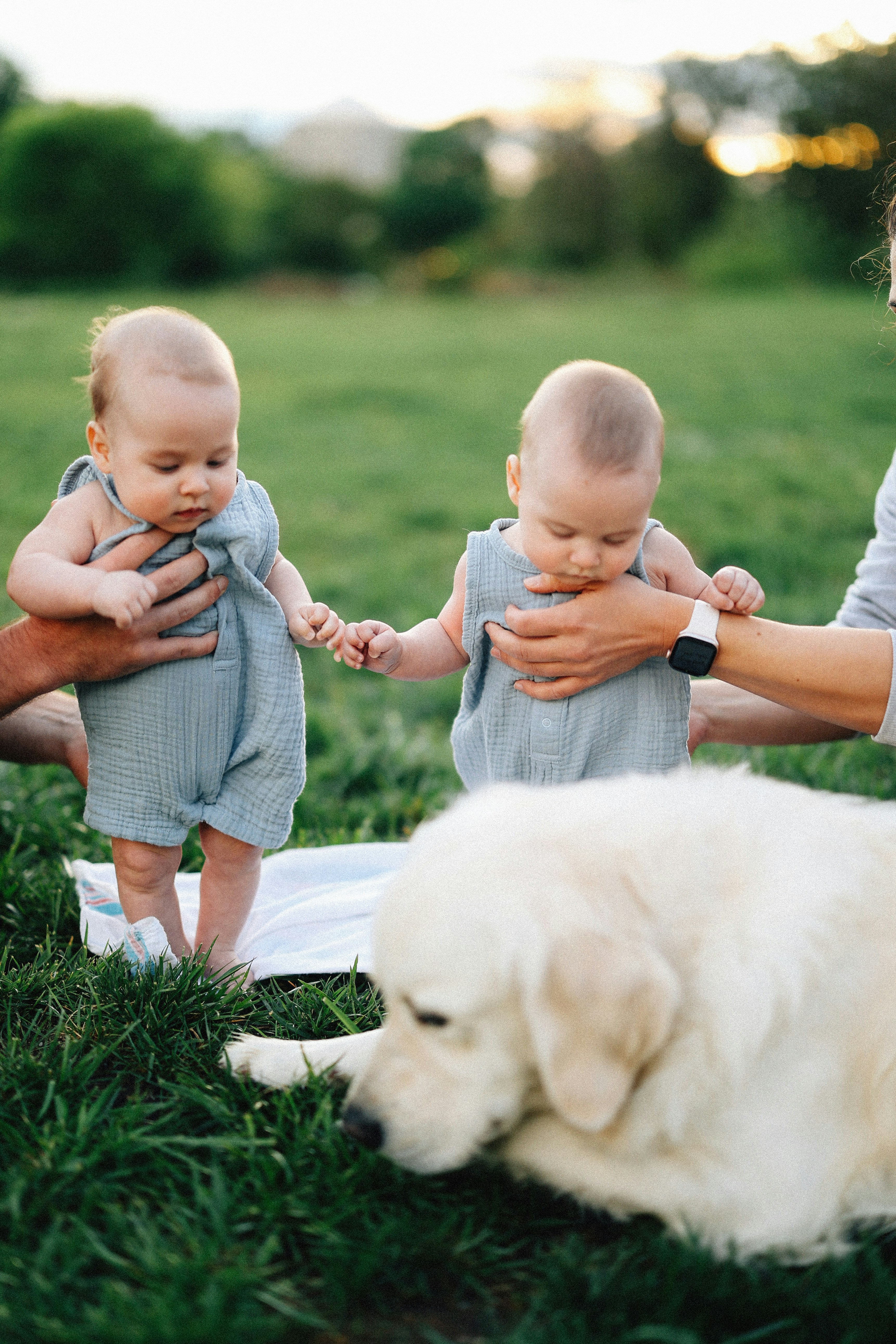 Twins are being held near a dog in grass.
