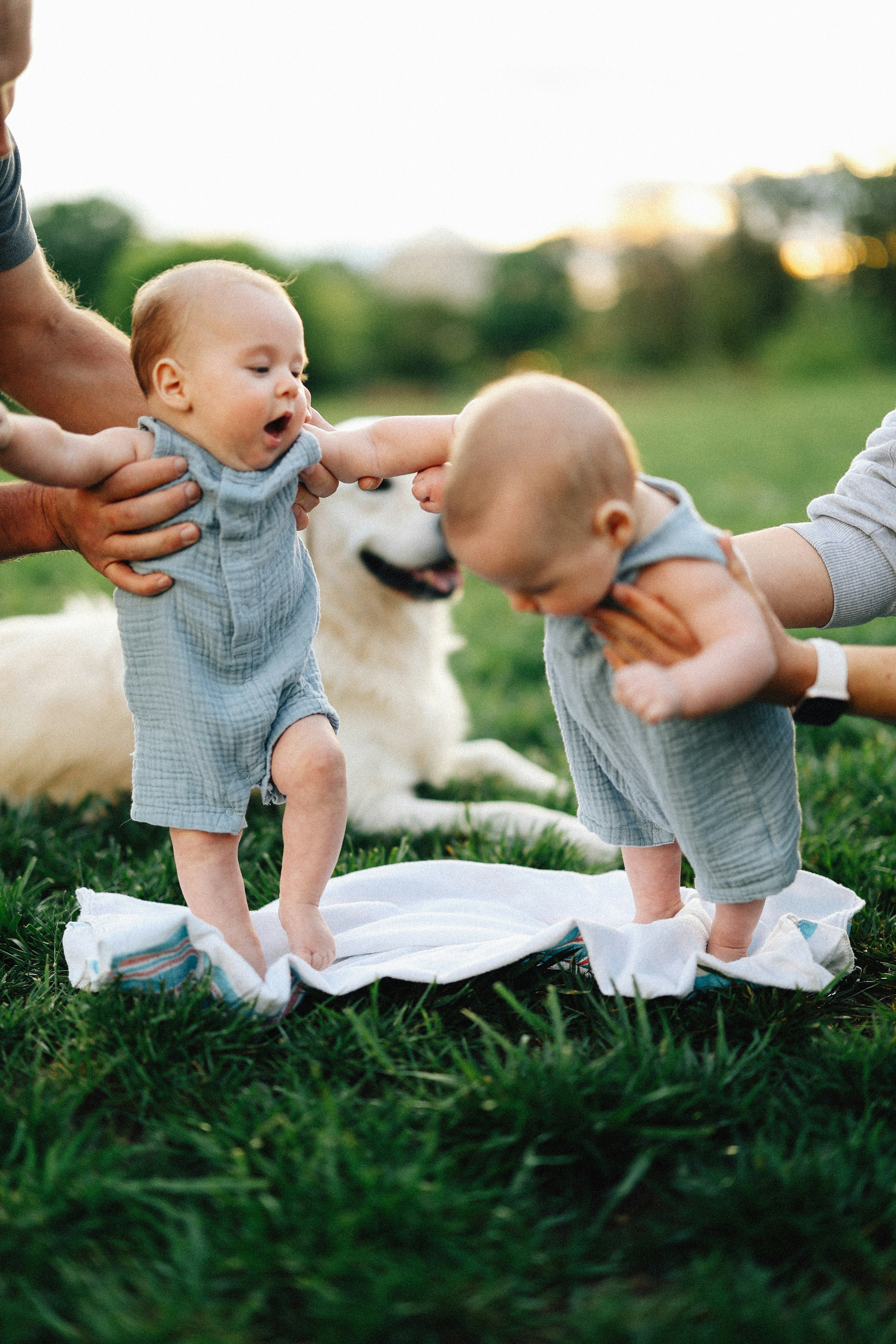 Parents help twin babies stand on the grass.