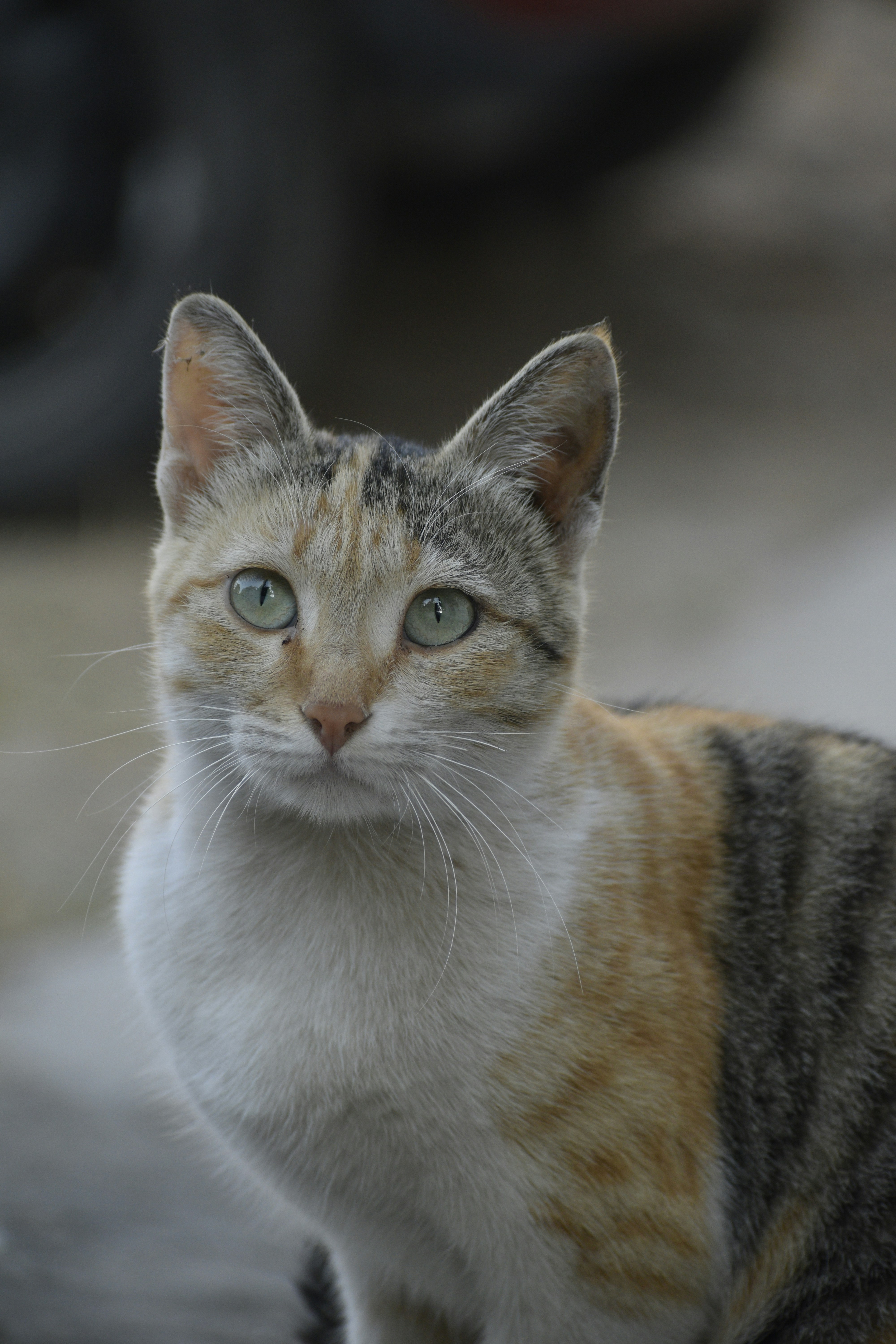 Photo by navalrathore_10