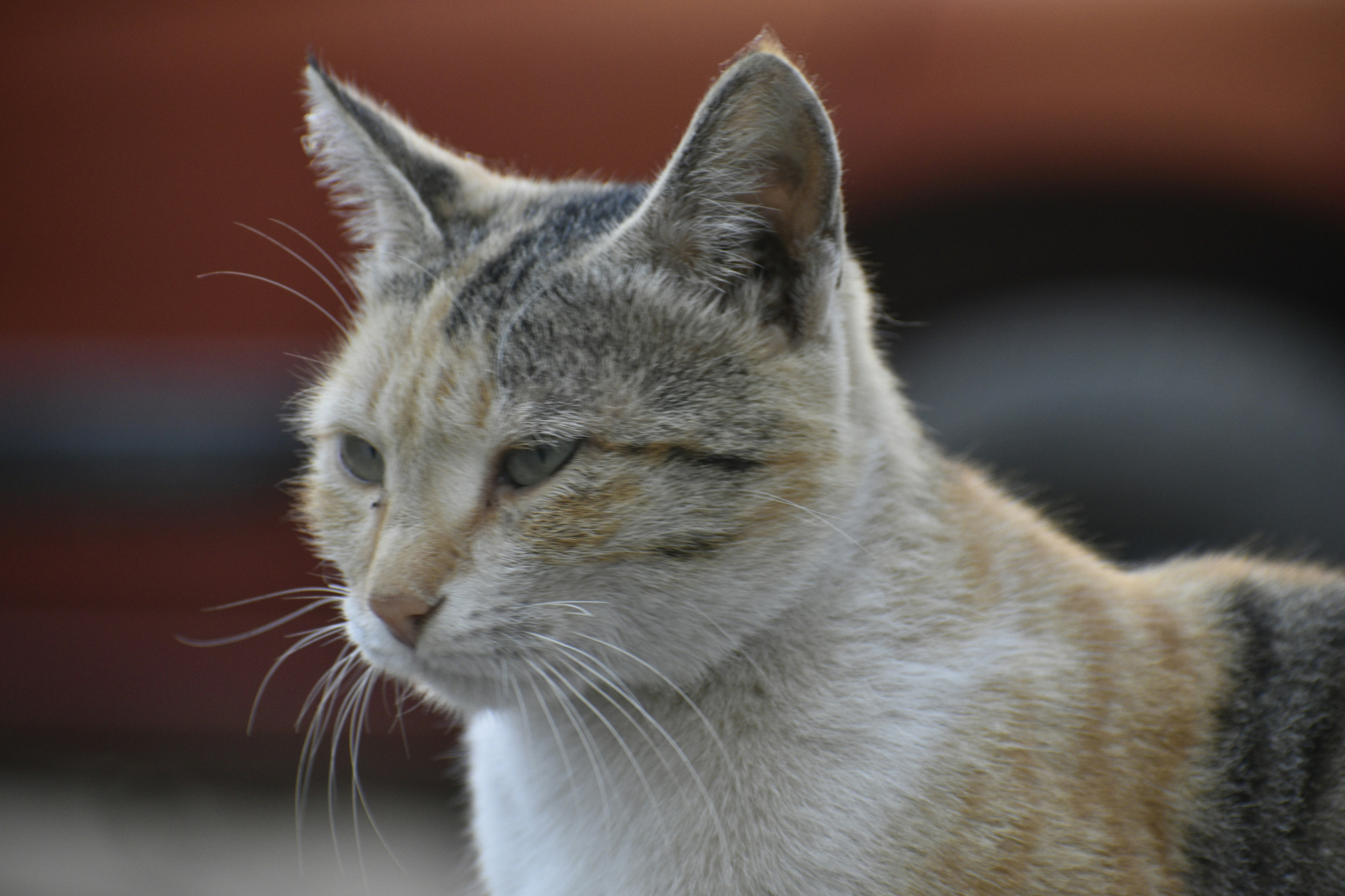 Photo by navalrathore_10