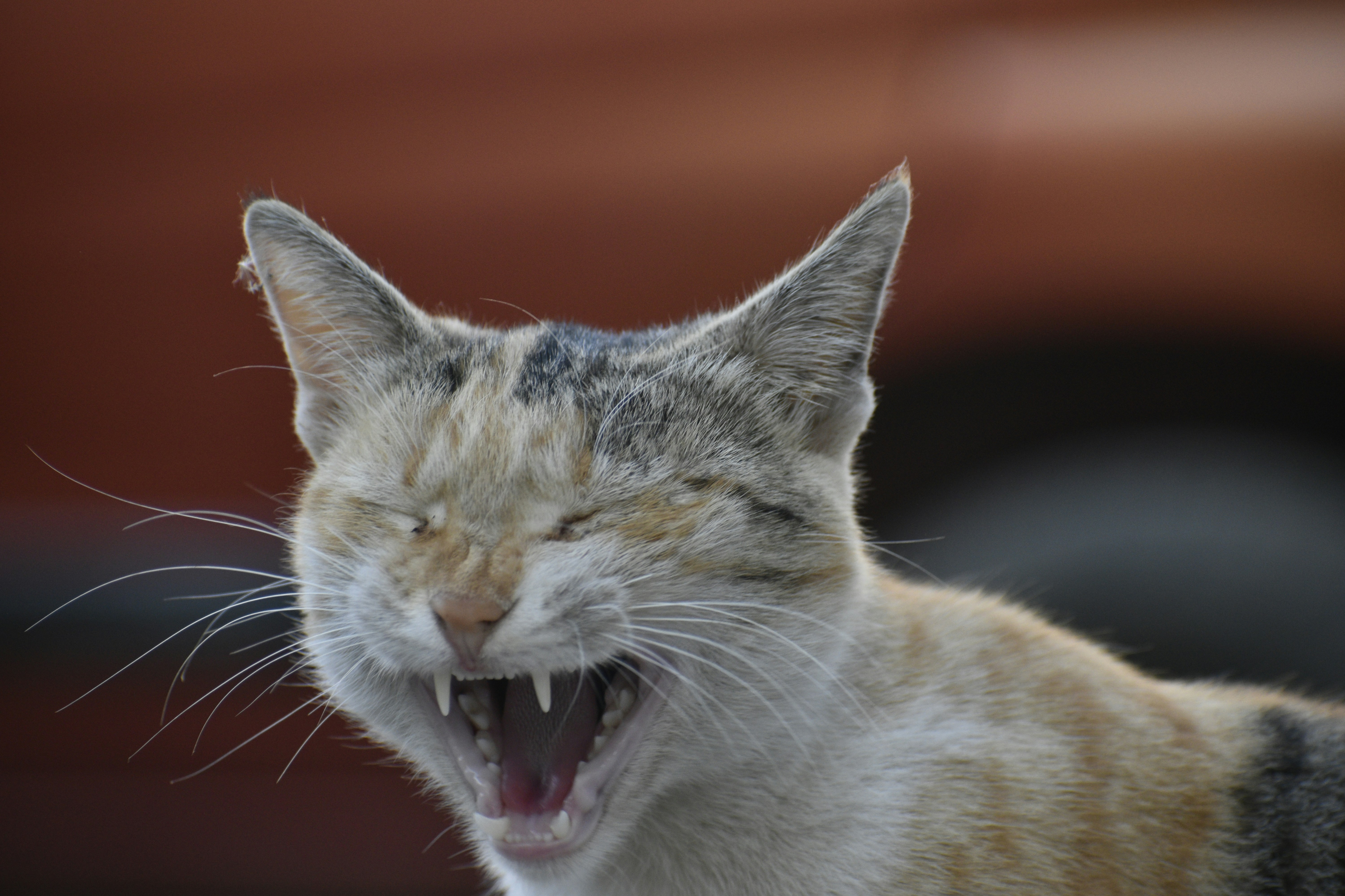 Photo by navalrathore_10