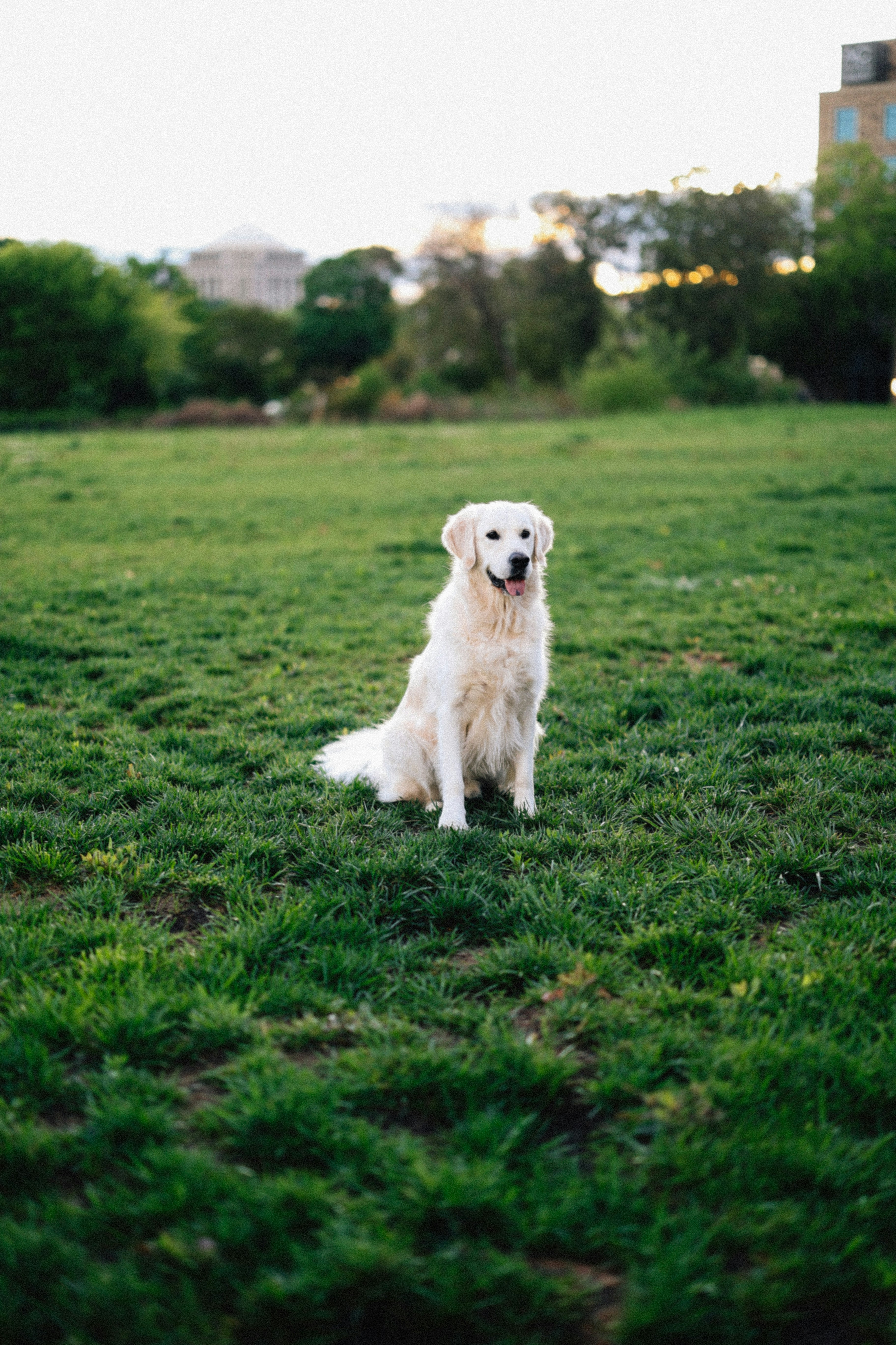 Photo by brookebalentine