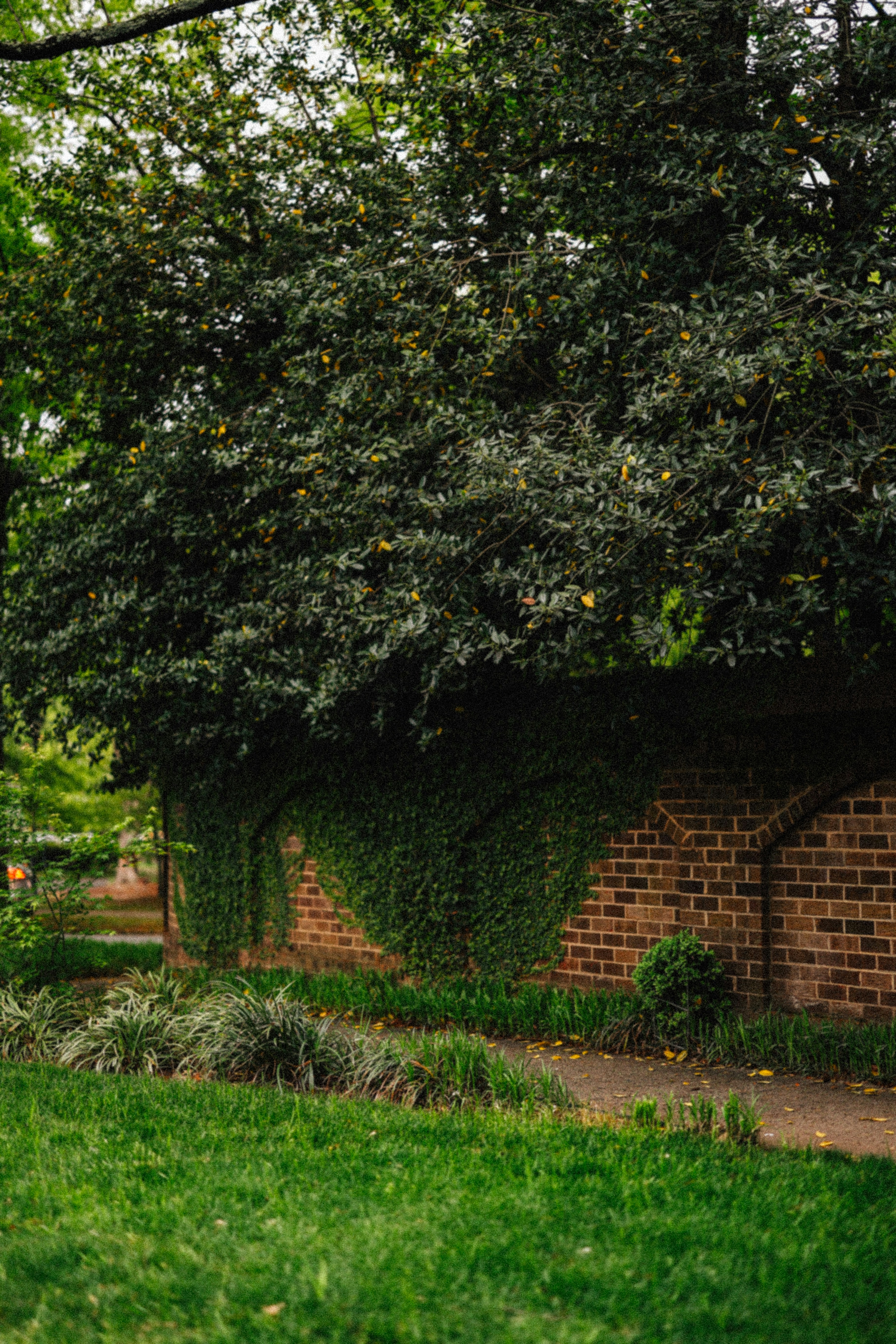 Photo by brookebalentine