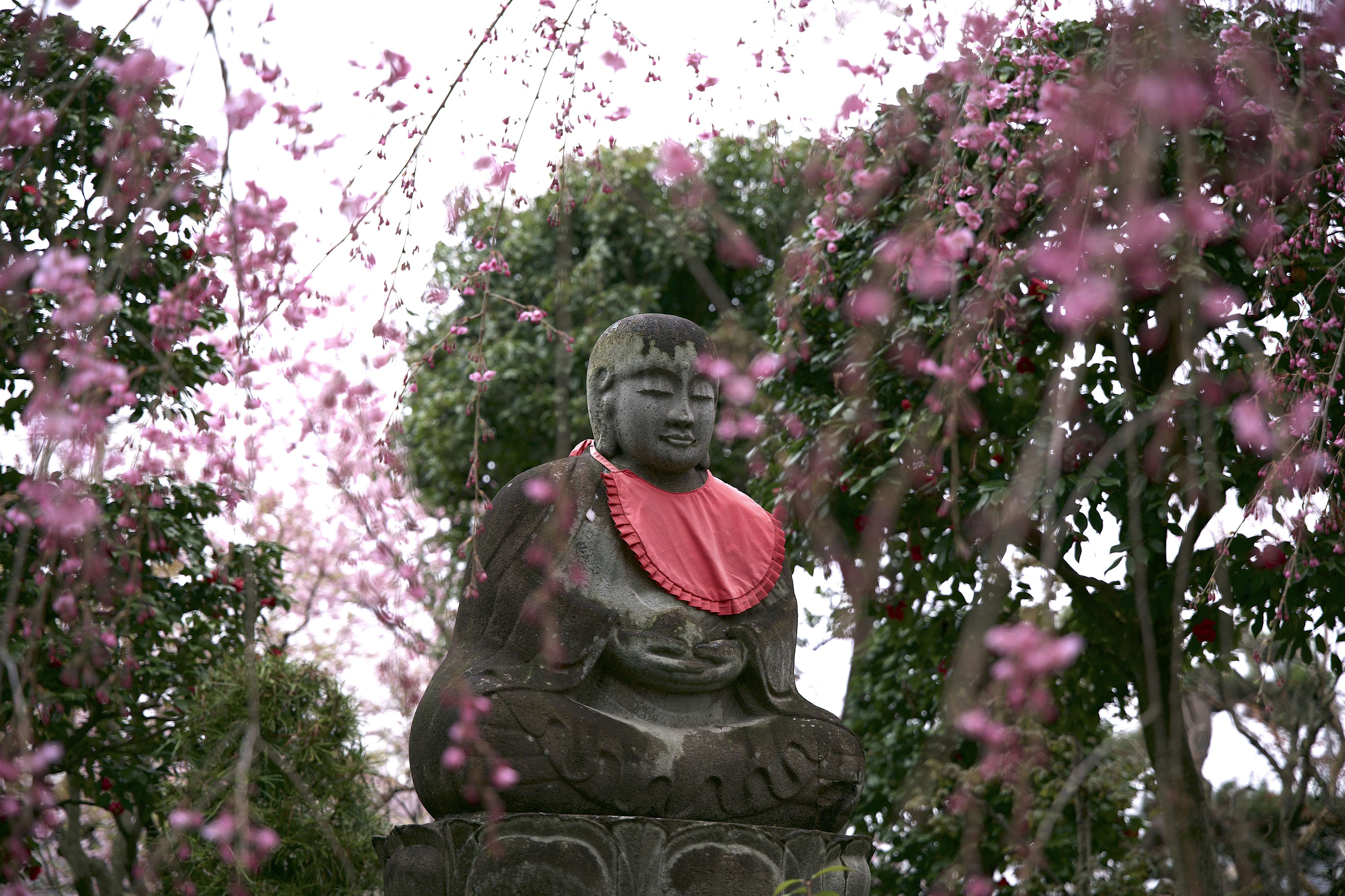 Photo by transistorights