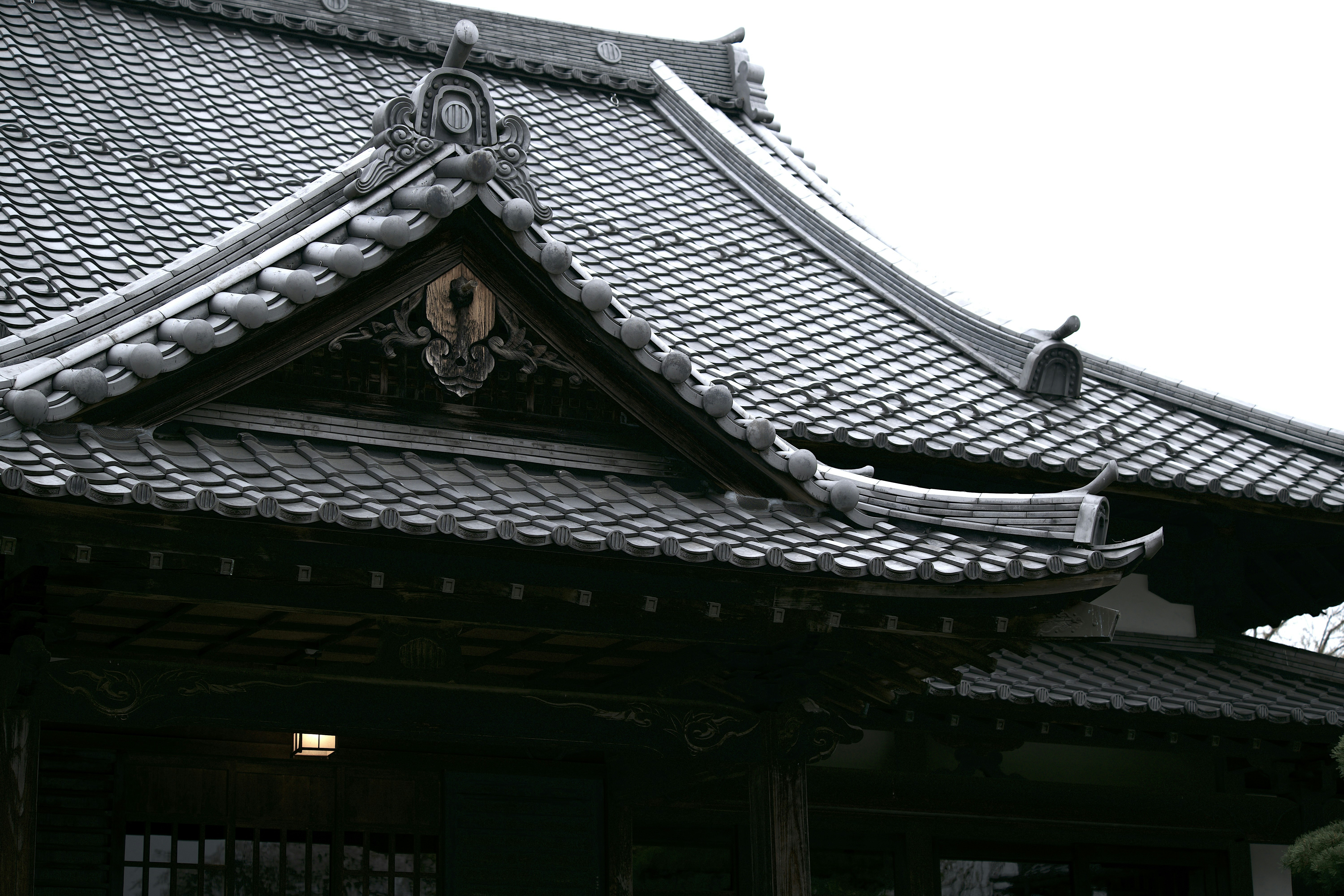 Photo by transistorights