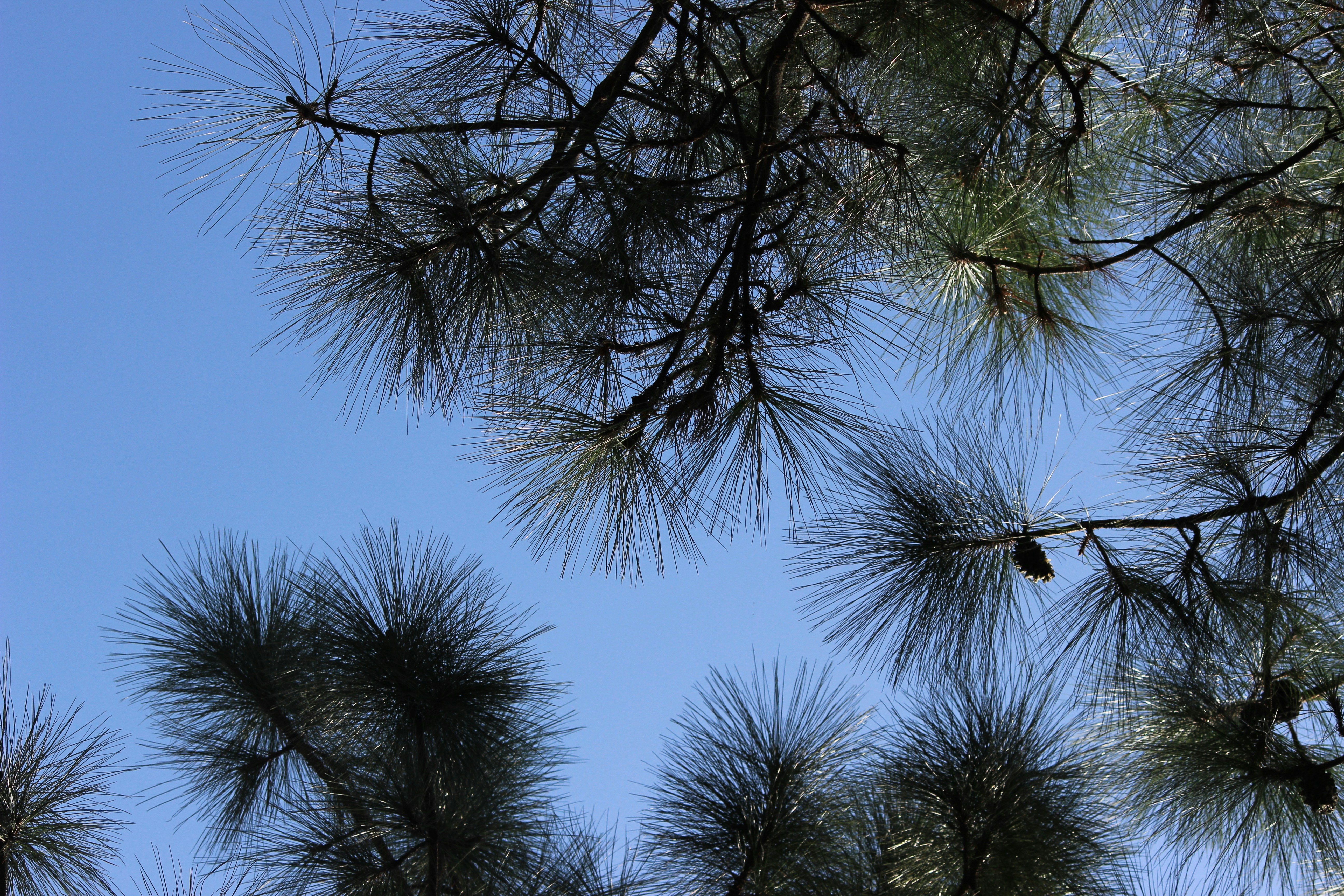 Photo by emmdeesingh