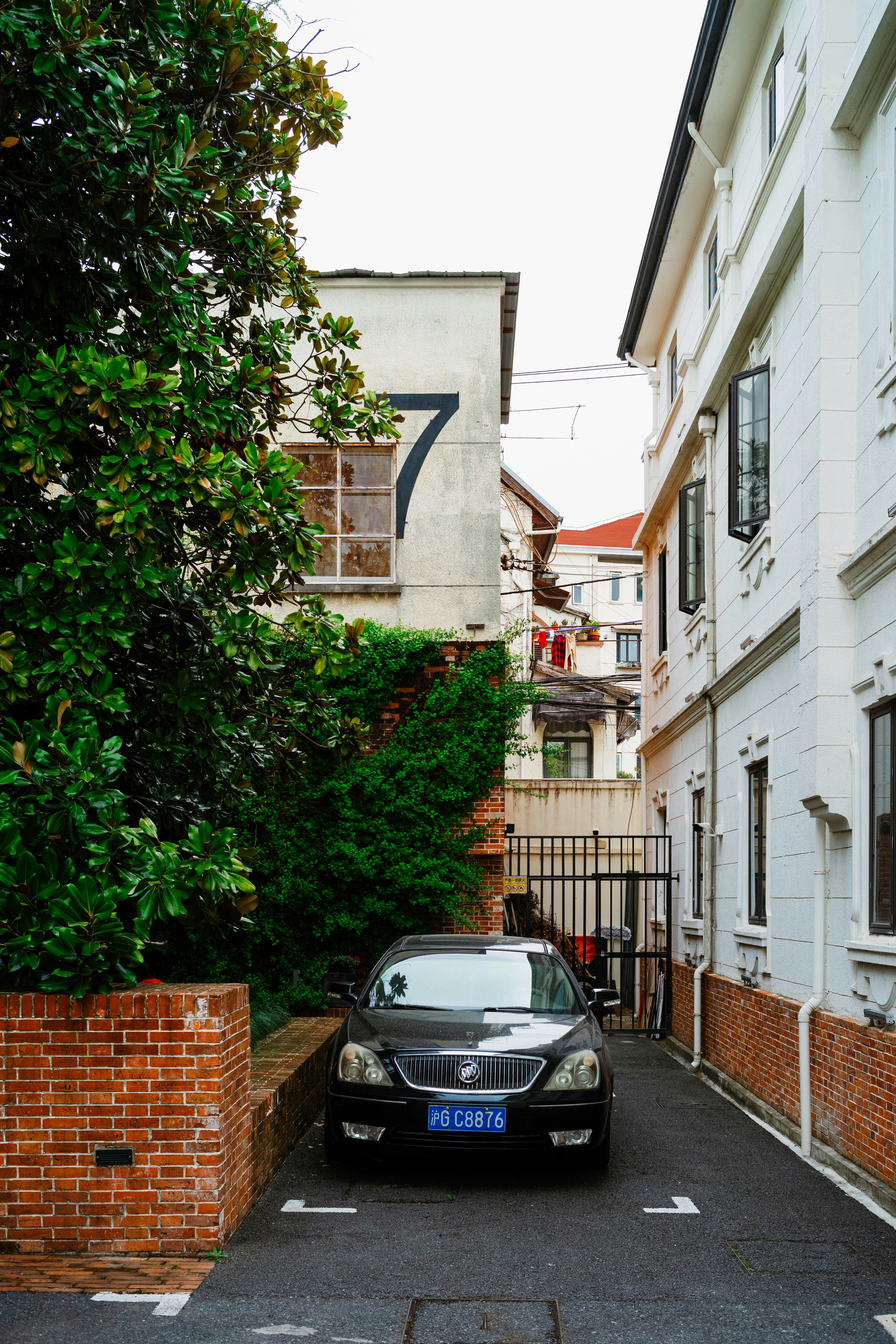 Photo by tommaomaoer