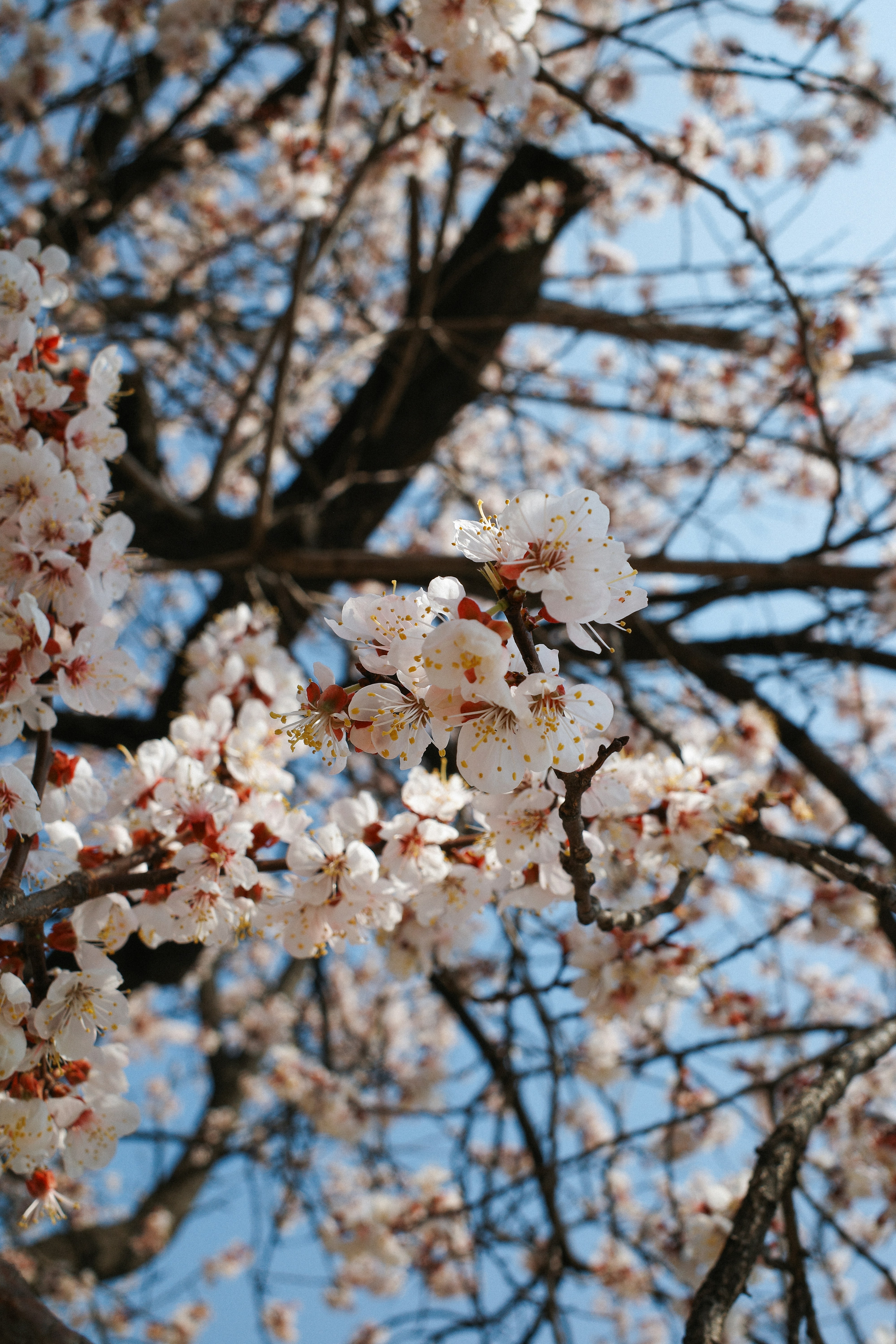 Photo by chanchaikee