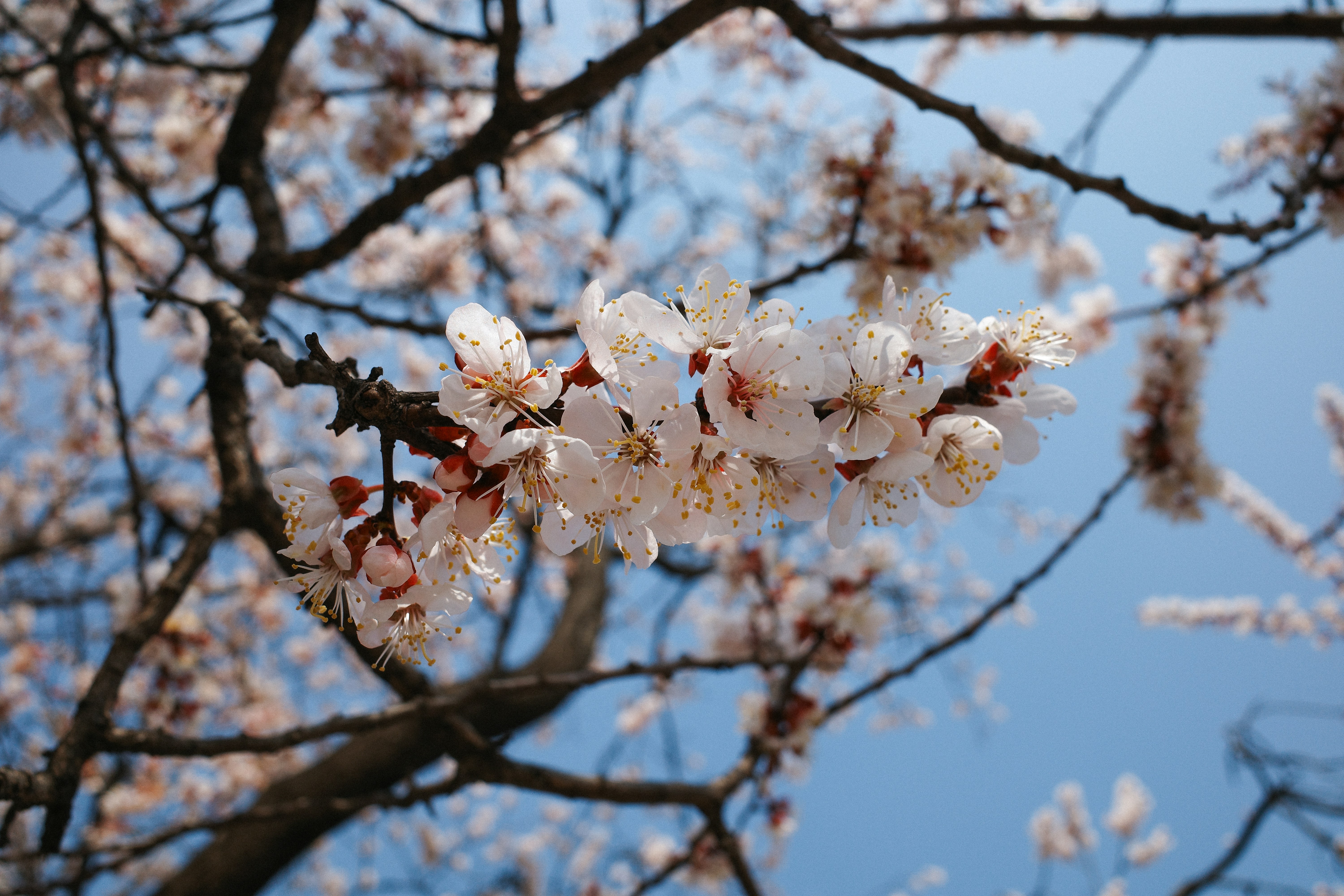 Photo by chanchaikee