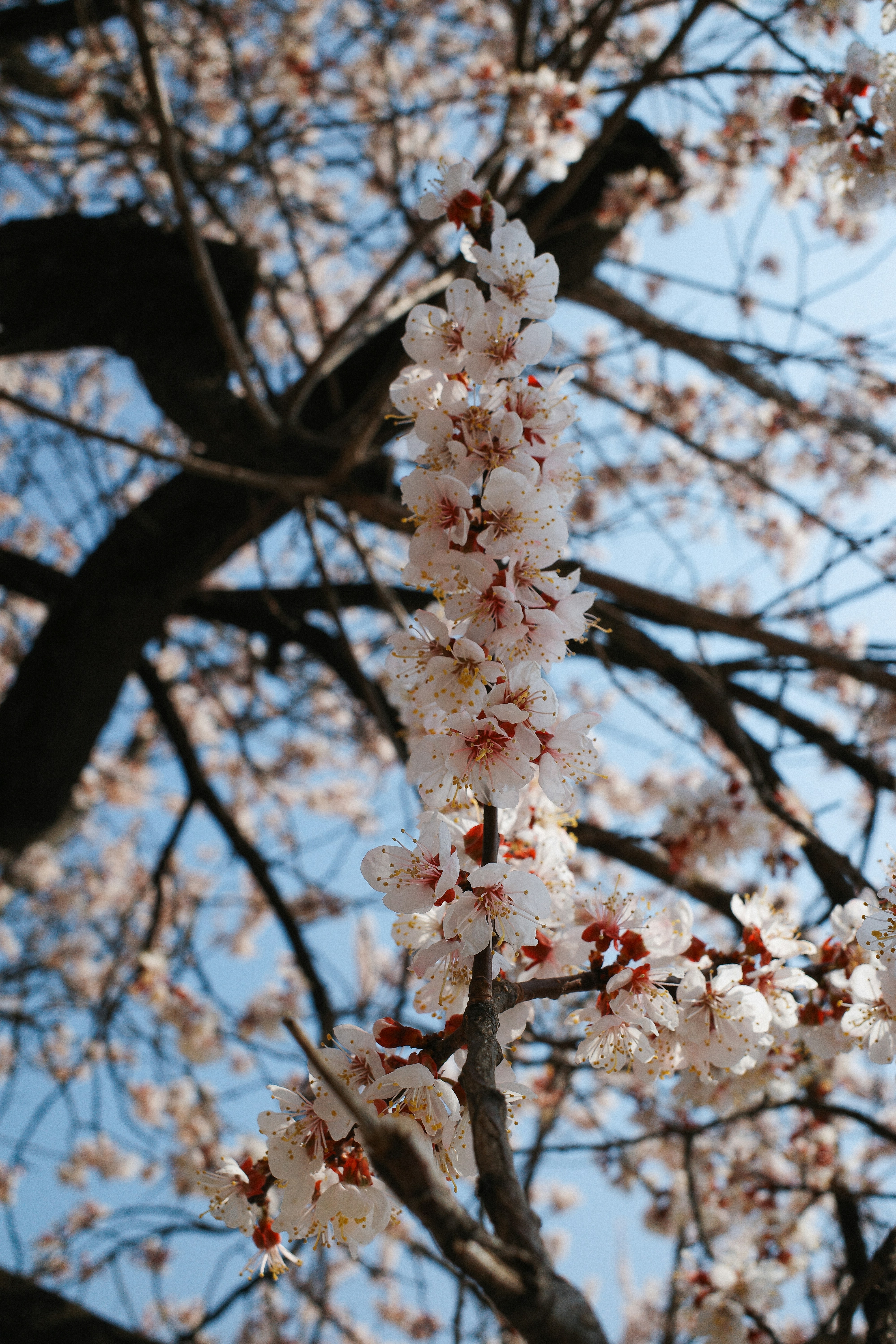 Photo by chanchaikee