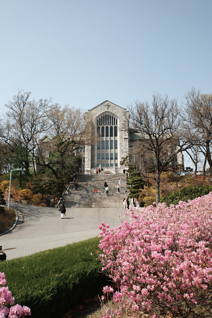 Korean university building surrounded by blossoms in spring