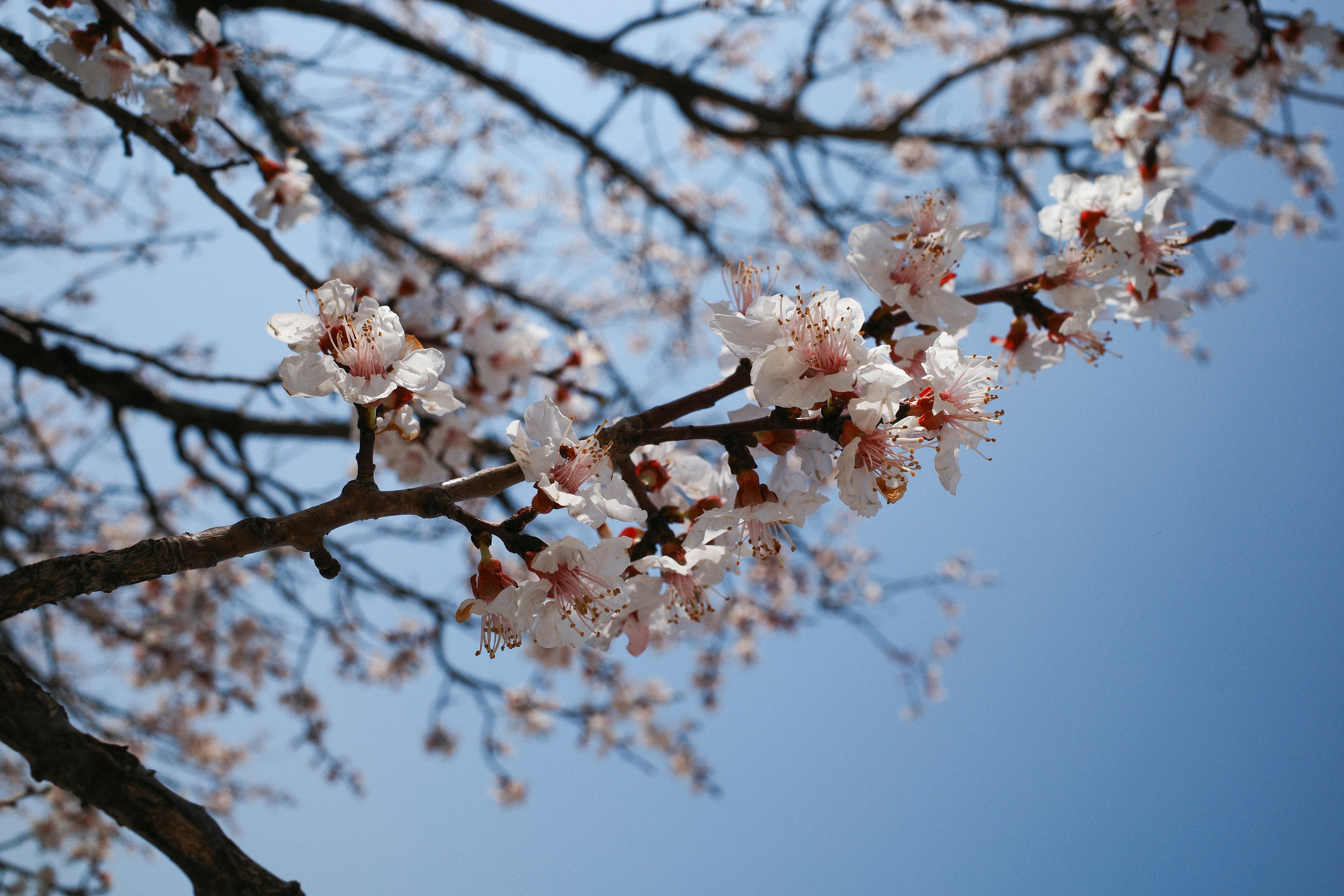 Photo by chanchaikee