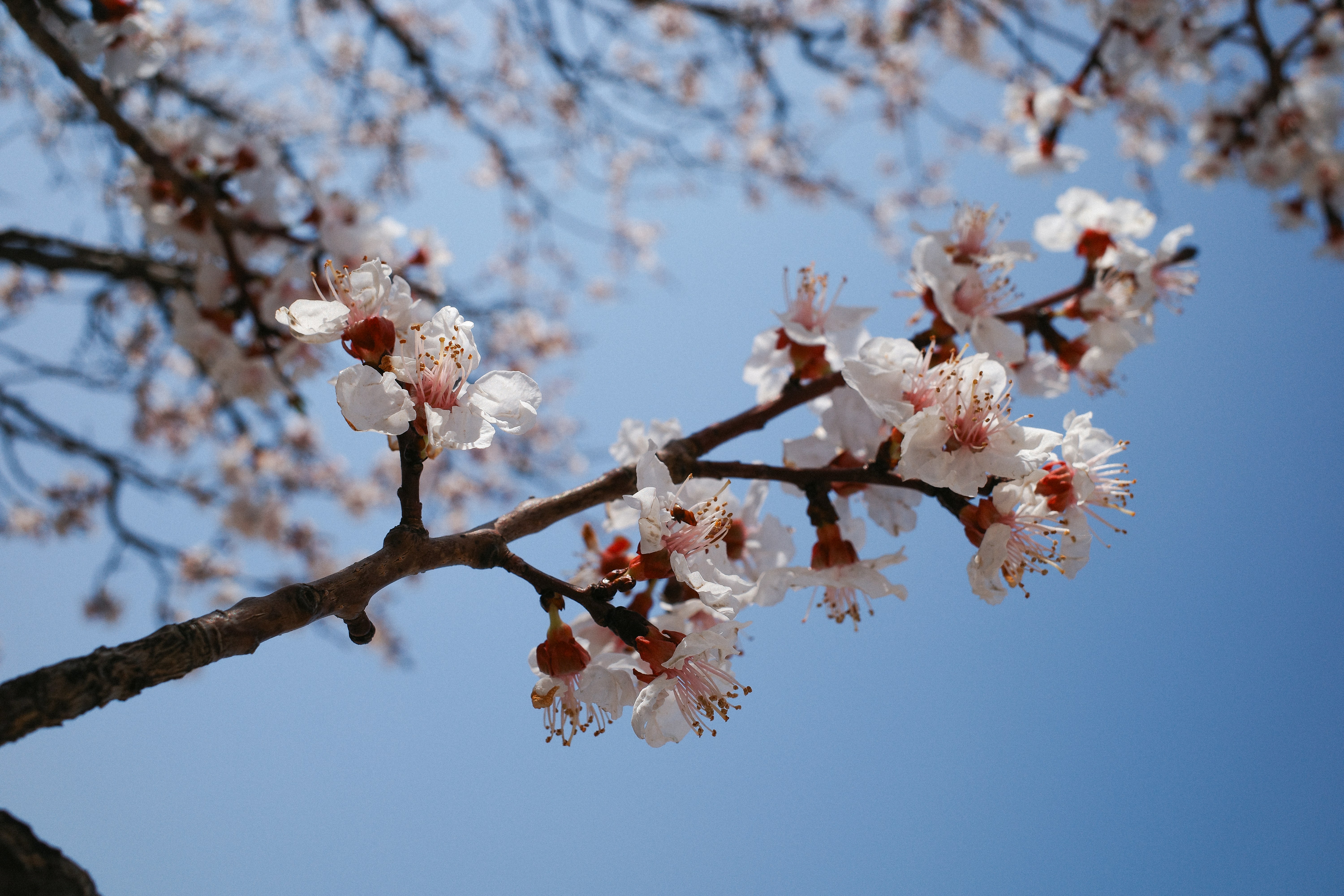 Photo by chanchaikee