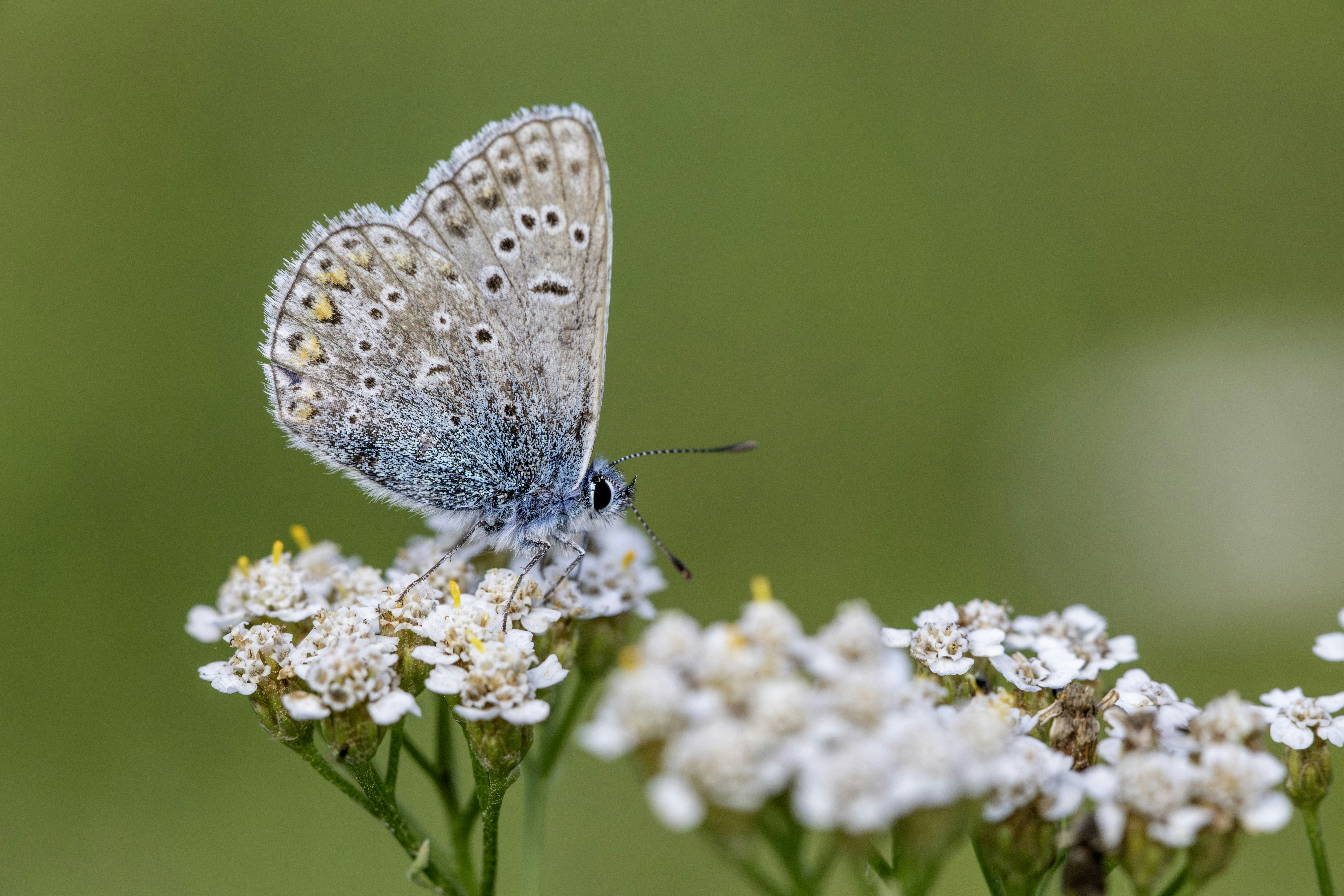 Photo by erik_karits