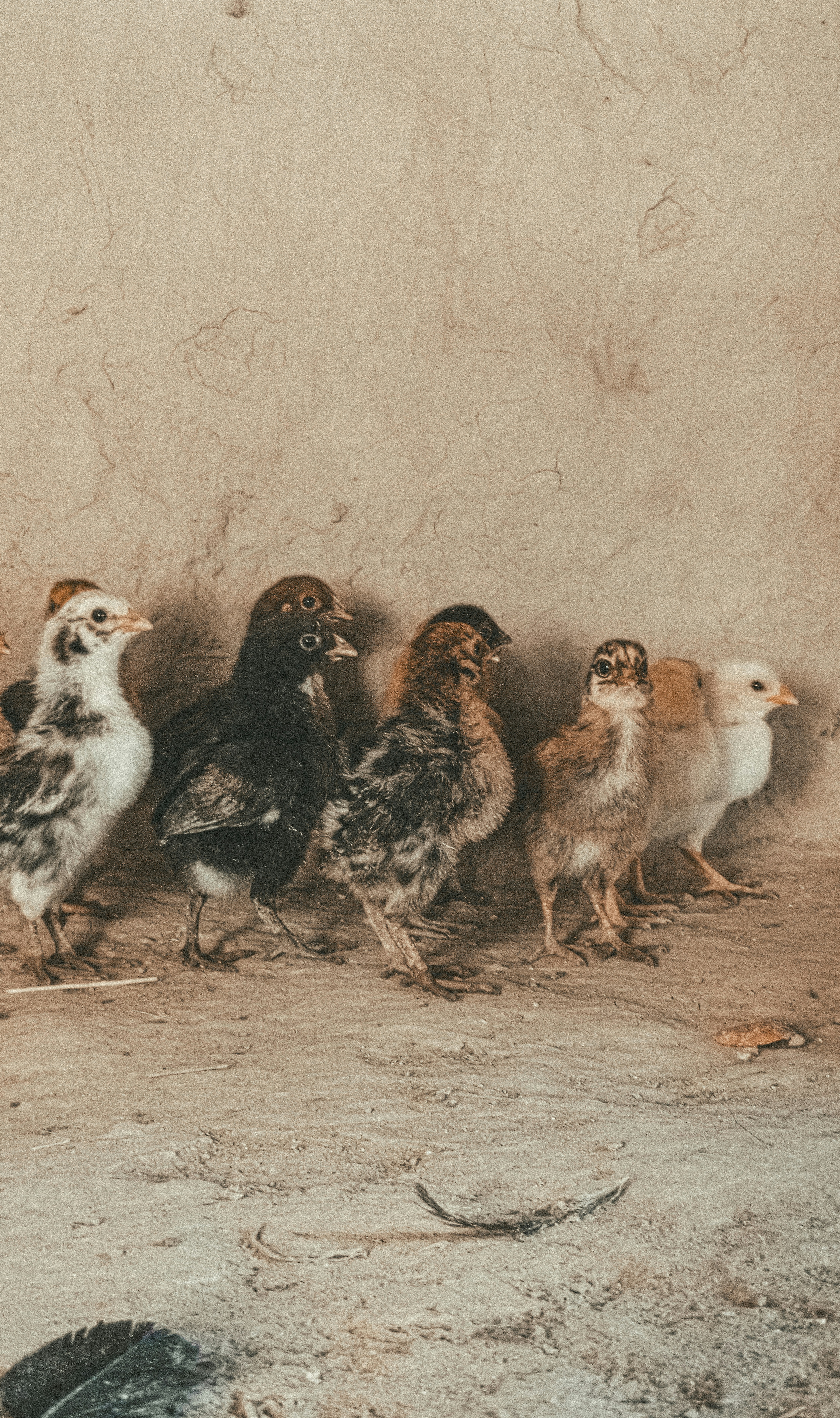 Photo of a diverse group of individuals