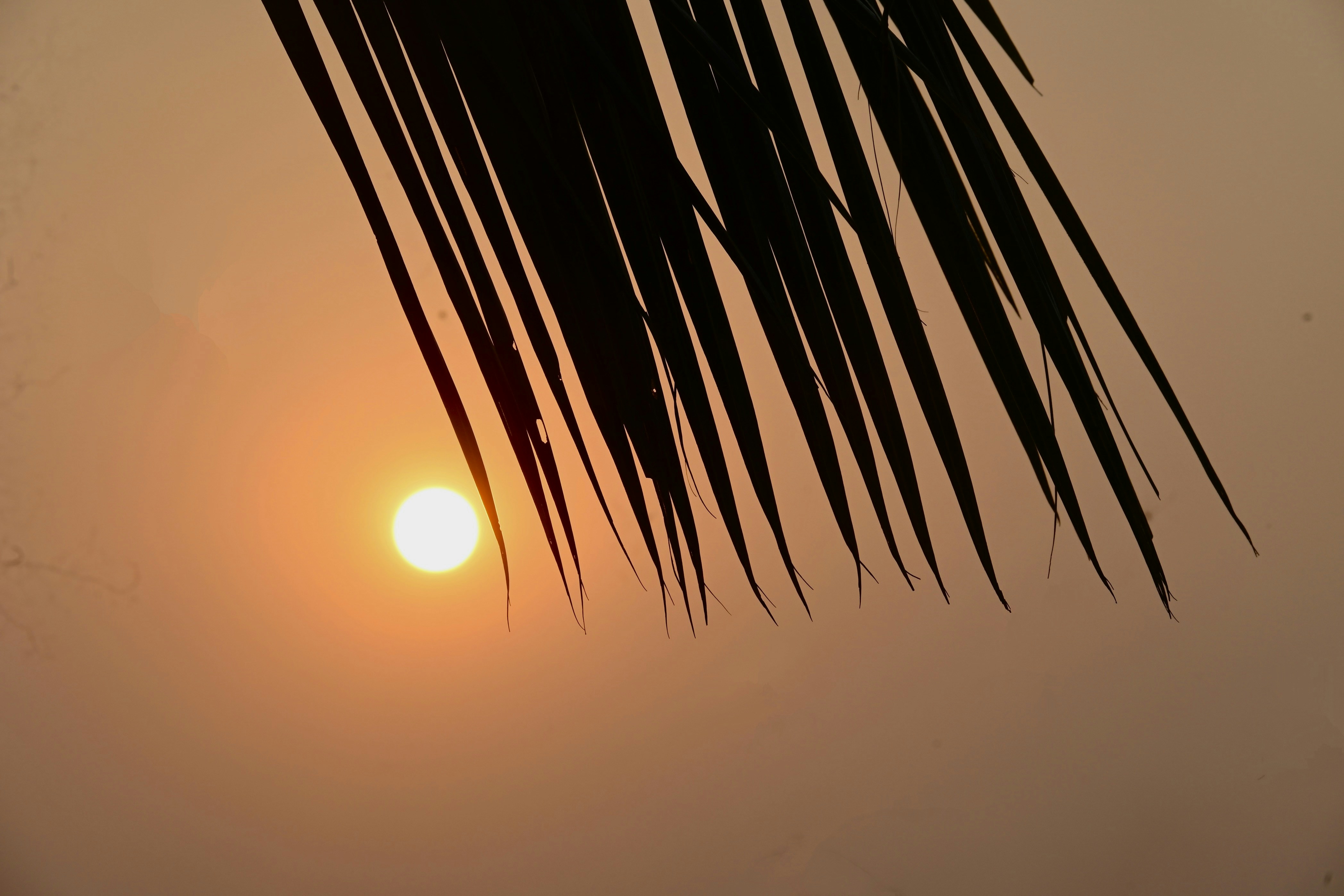 Photo by praswinprakashan