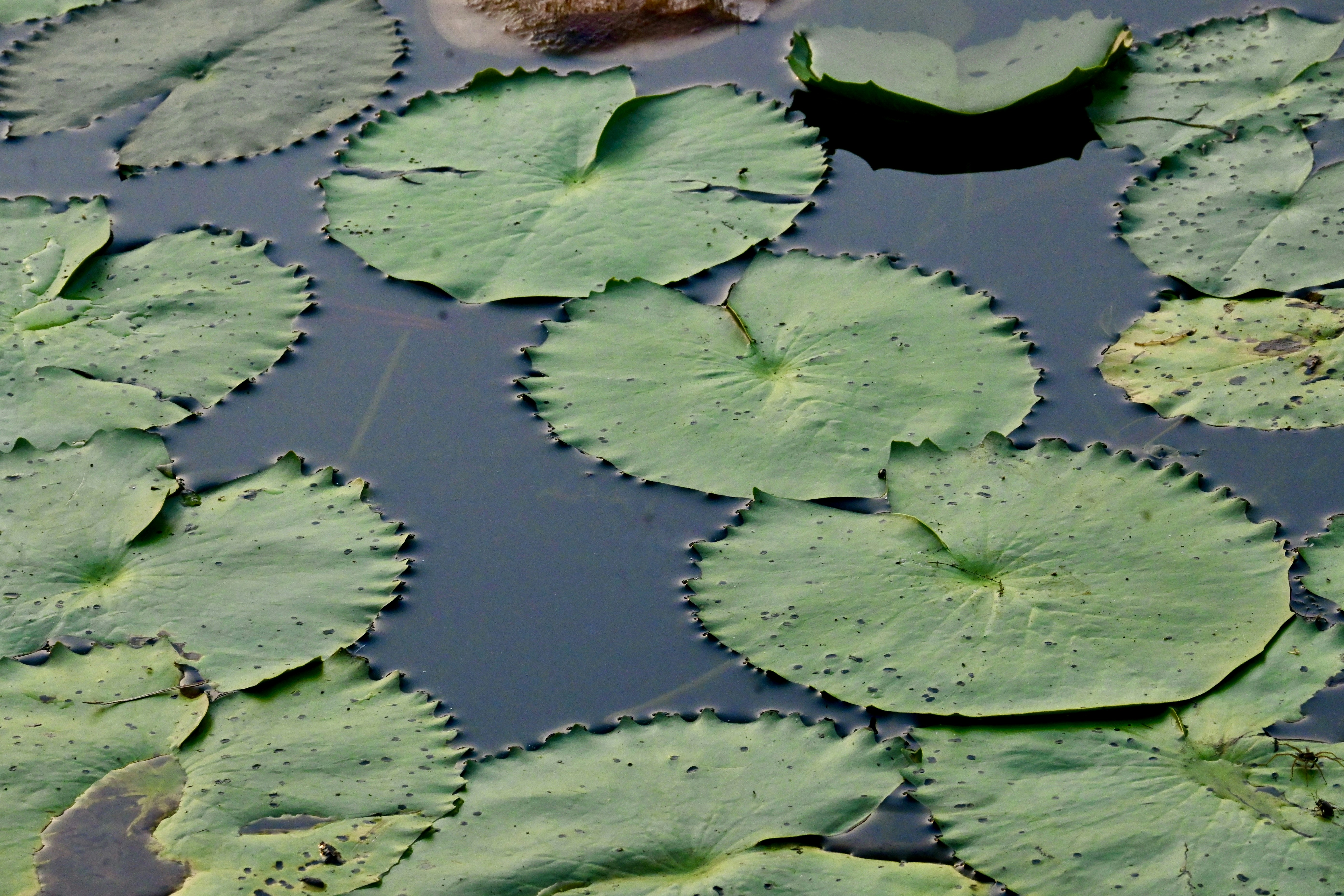 Photo by praswinprakashan