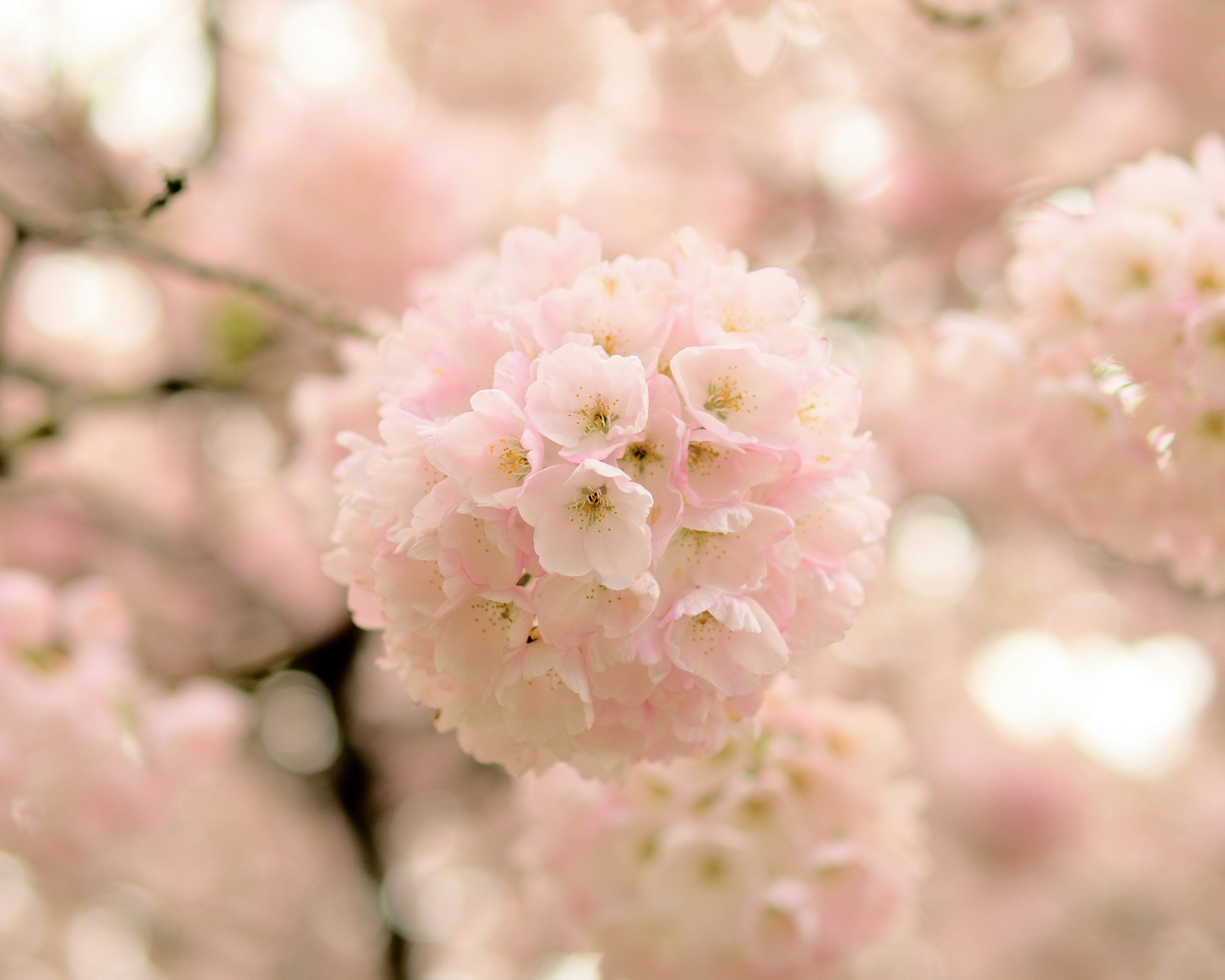 Photo by farnaz________