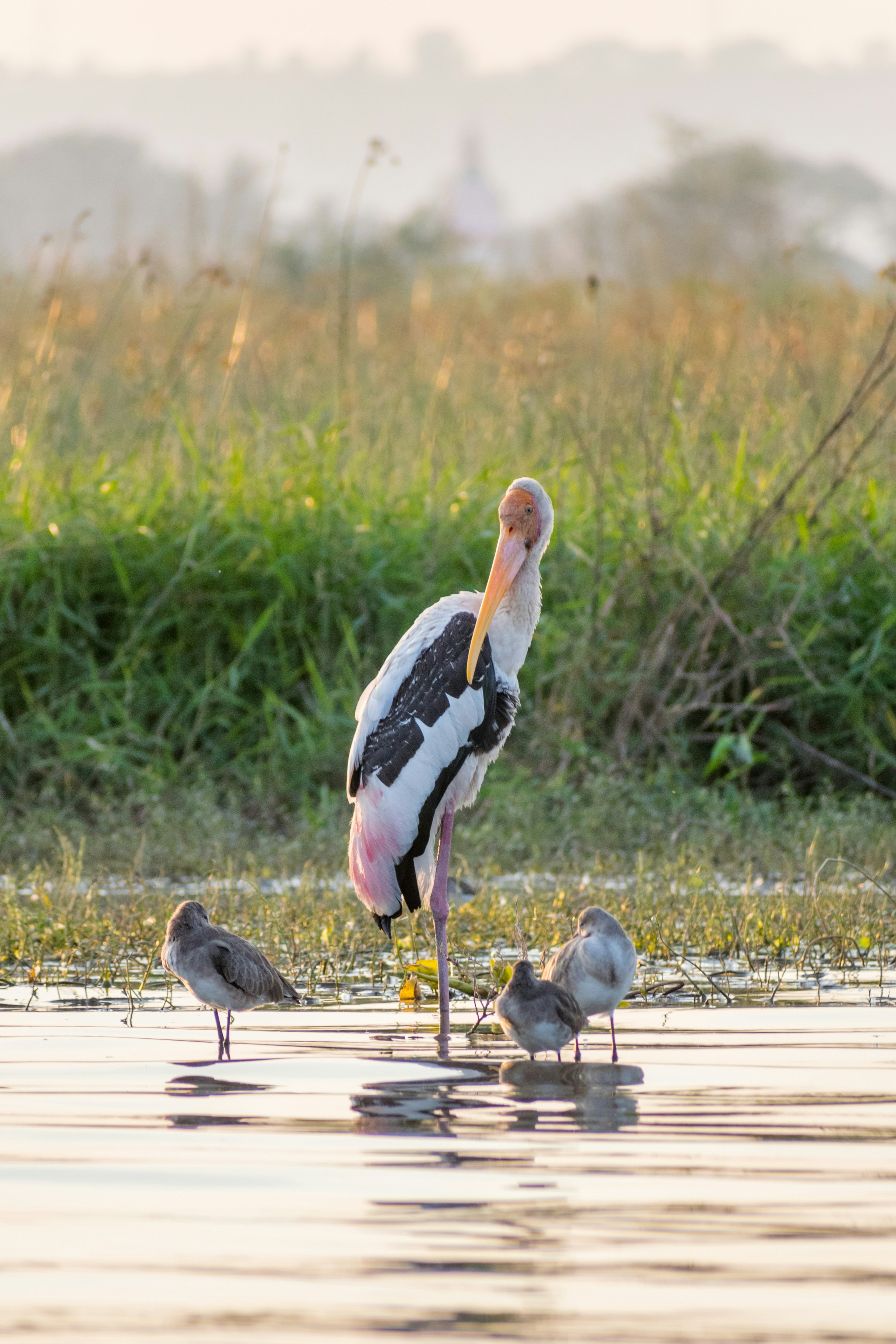 Photo by sonika_agarwal