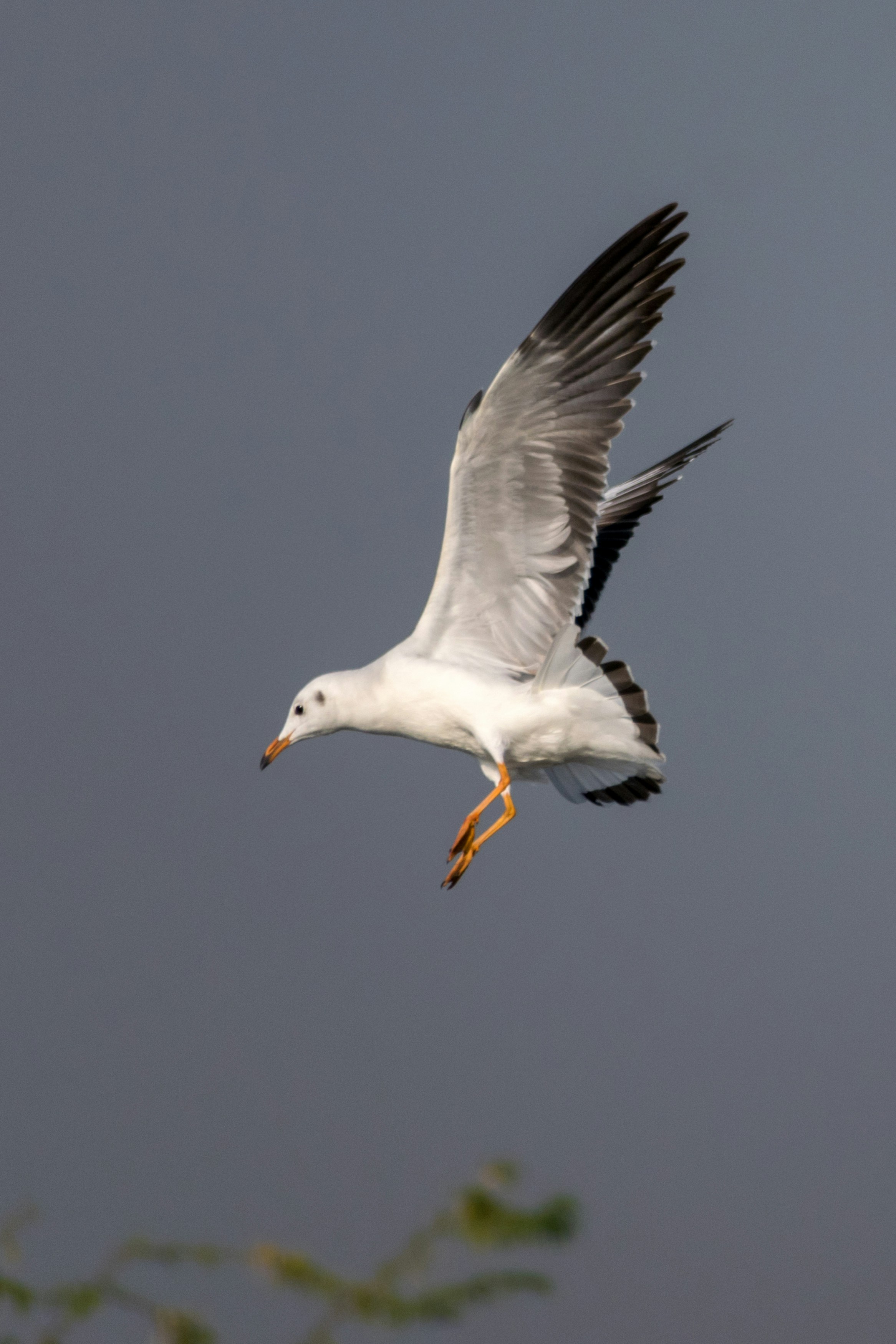 Photo by sonika_agarwal