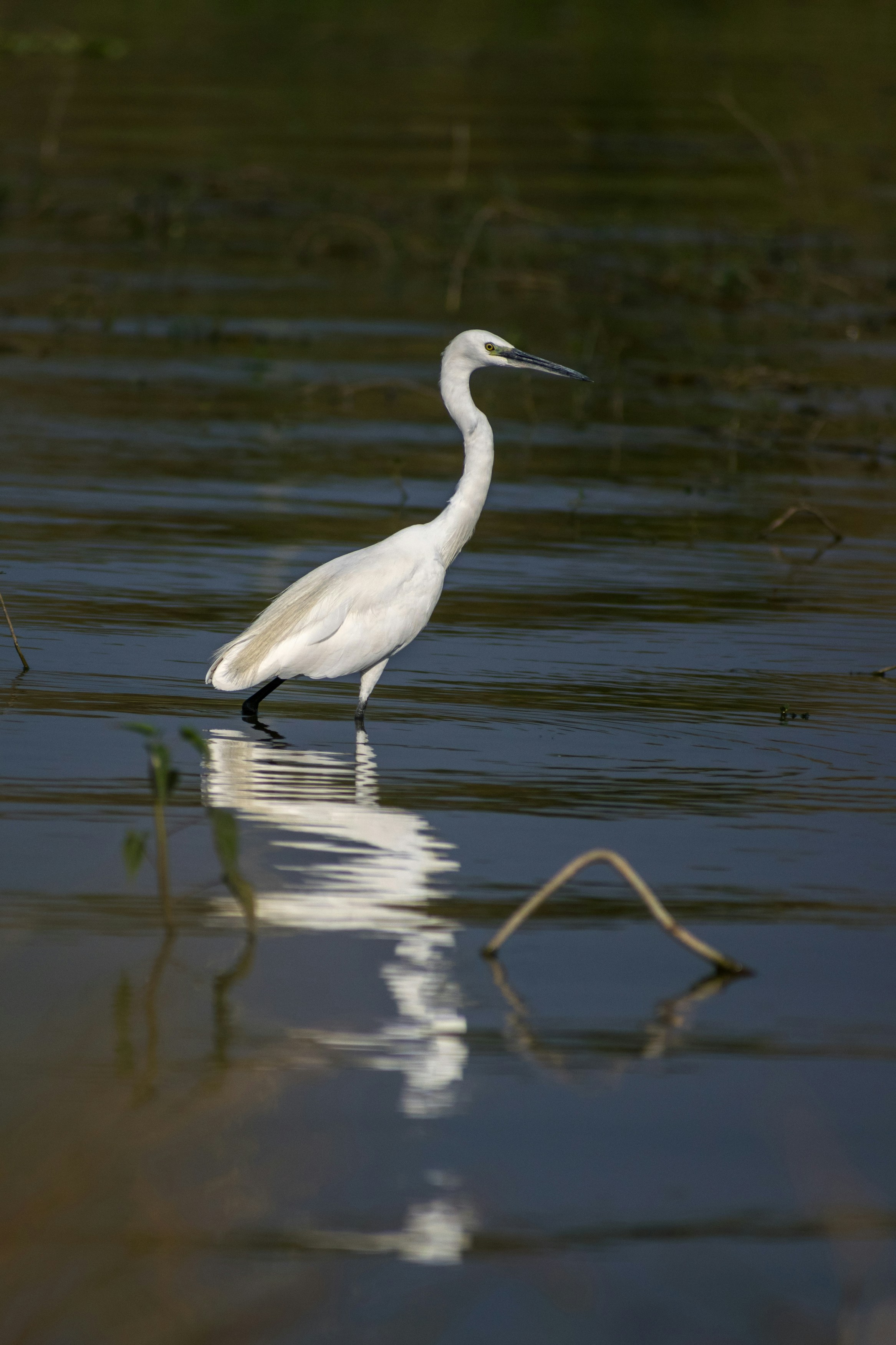 Photo by sonika_agarwal