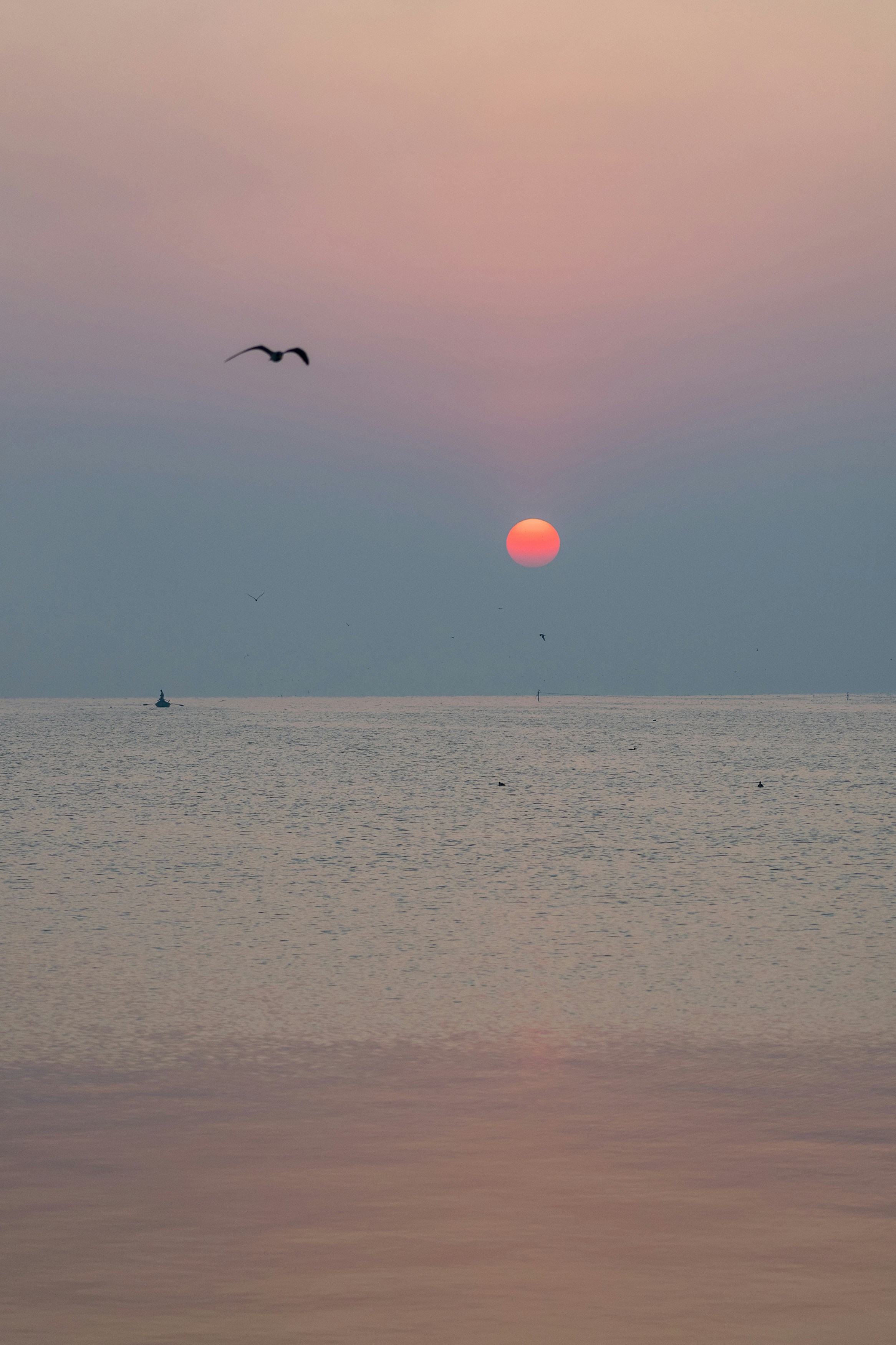 Photo by sonika_agarwal