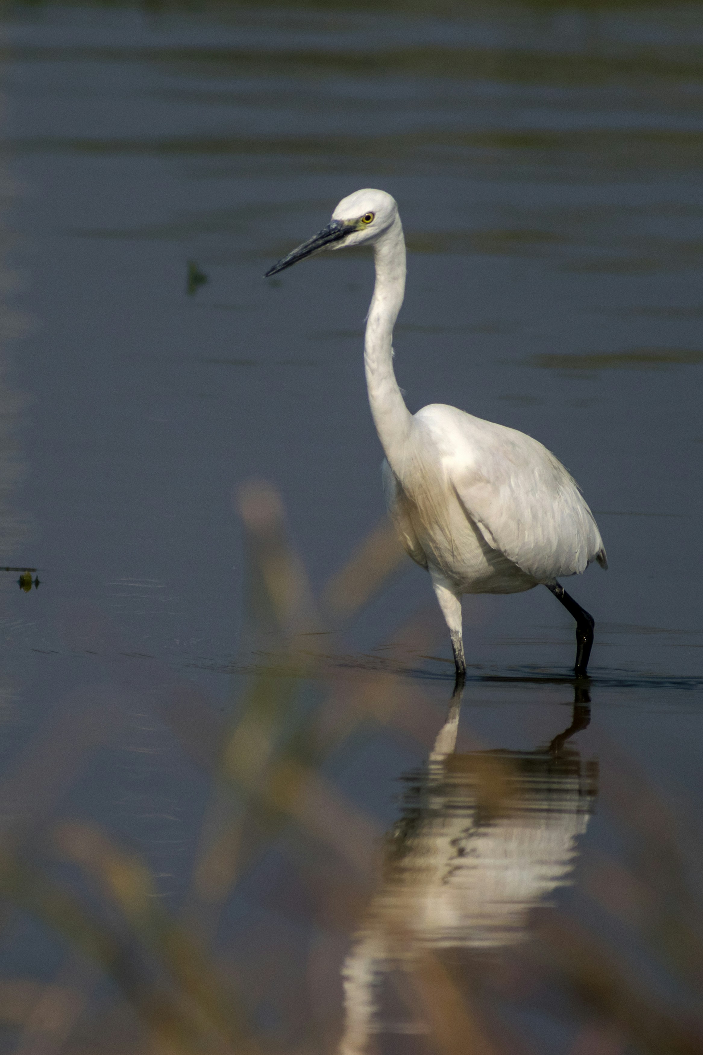 Photo by sonika_agarwal