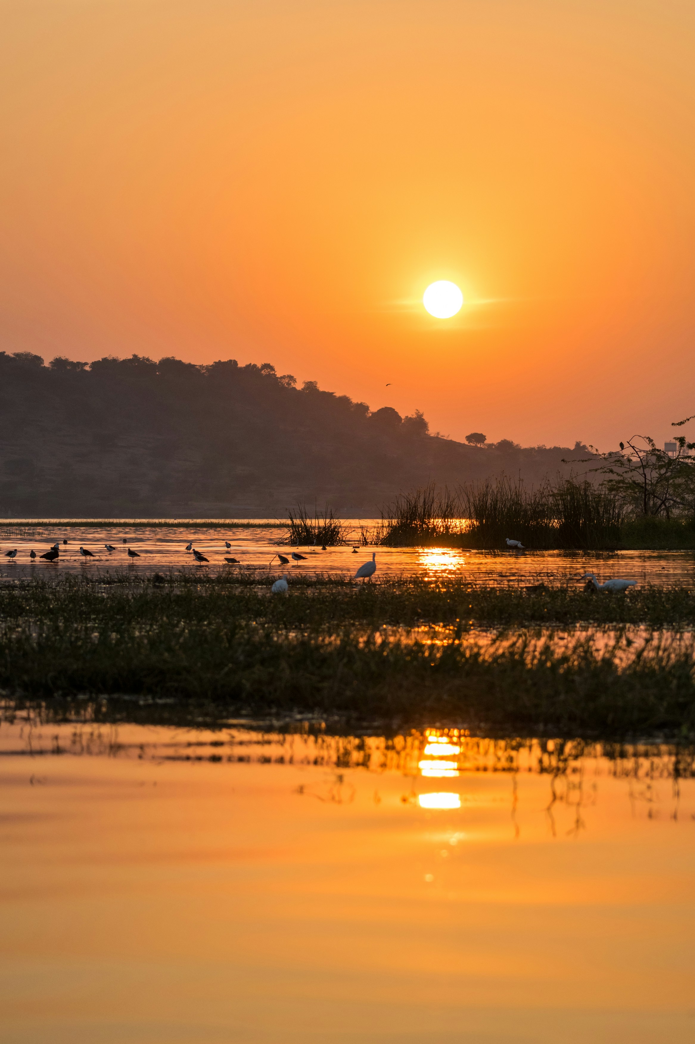 Photo by sonika_agarwal