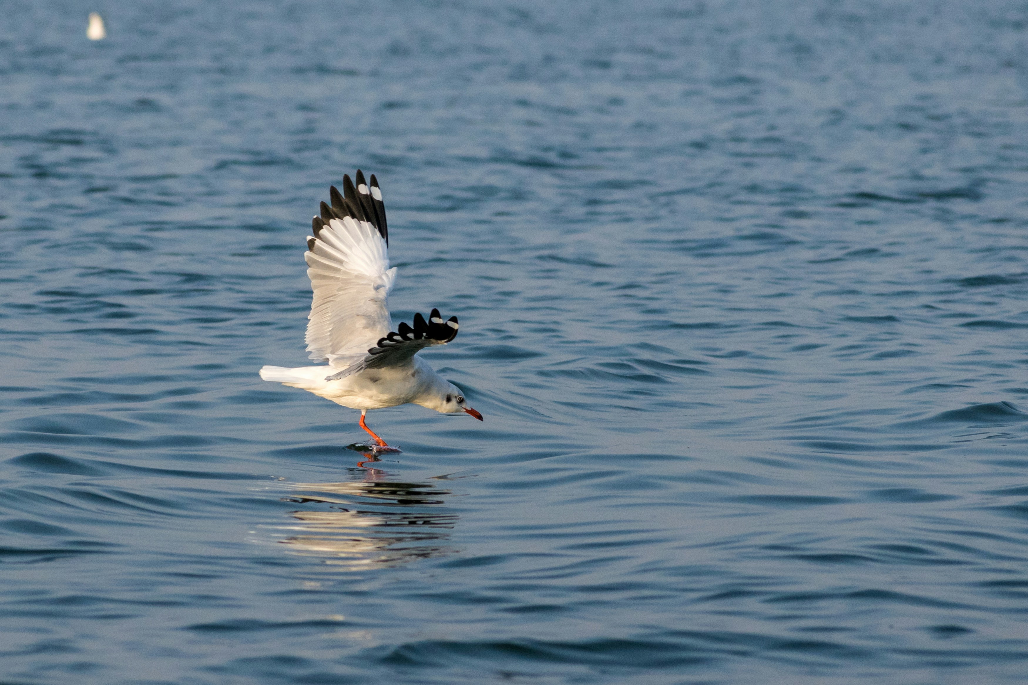 Photo by sonika_agarwal