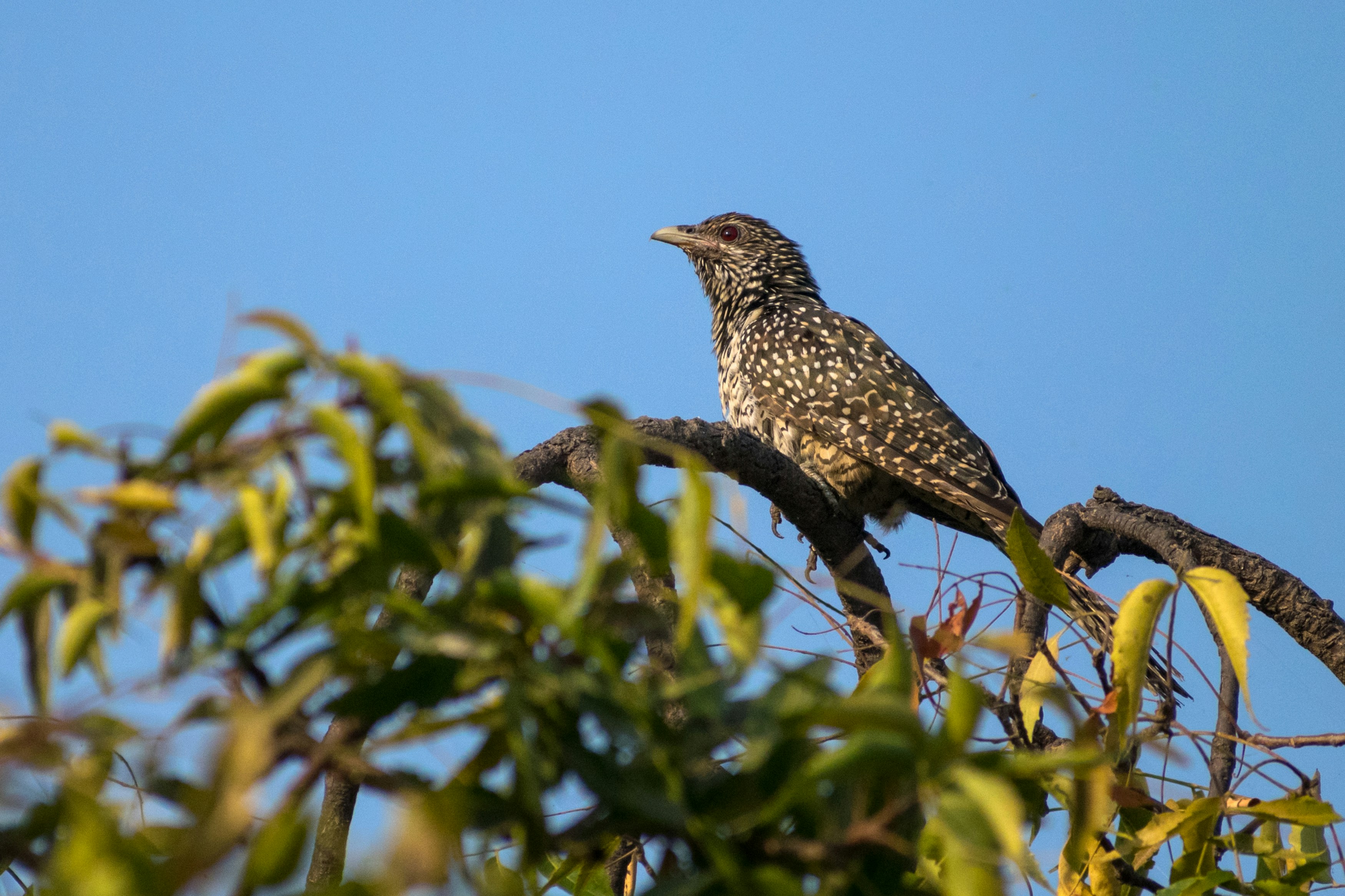 Photo by sonika_agarwal