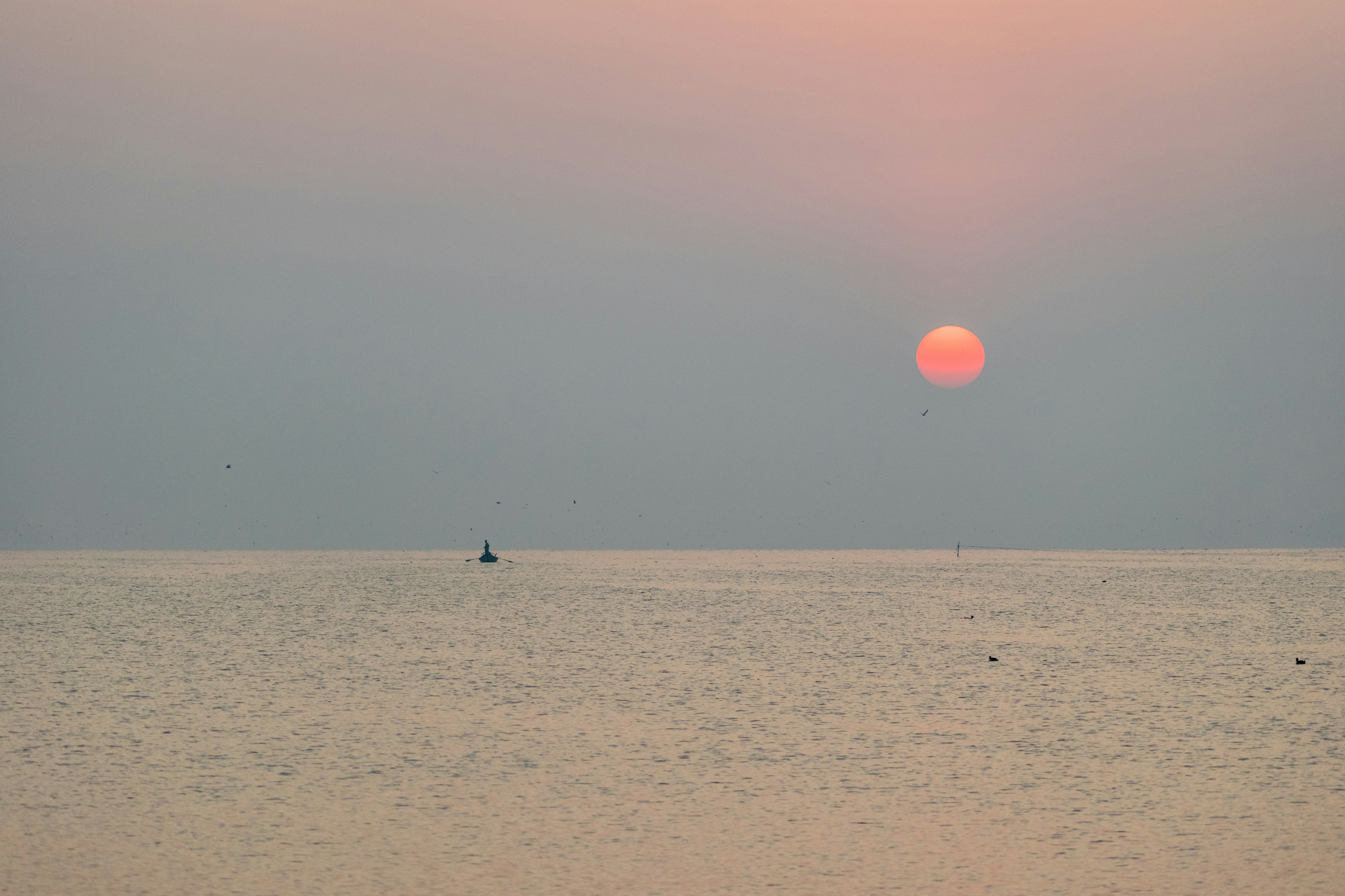 Photo by sonika_agarwal