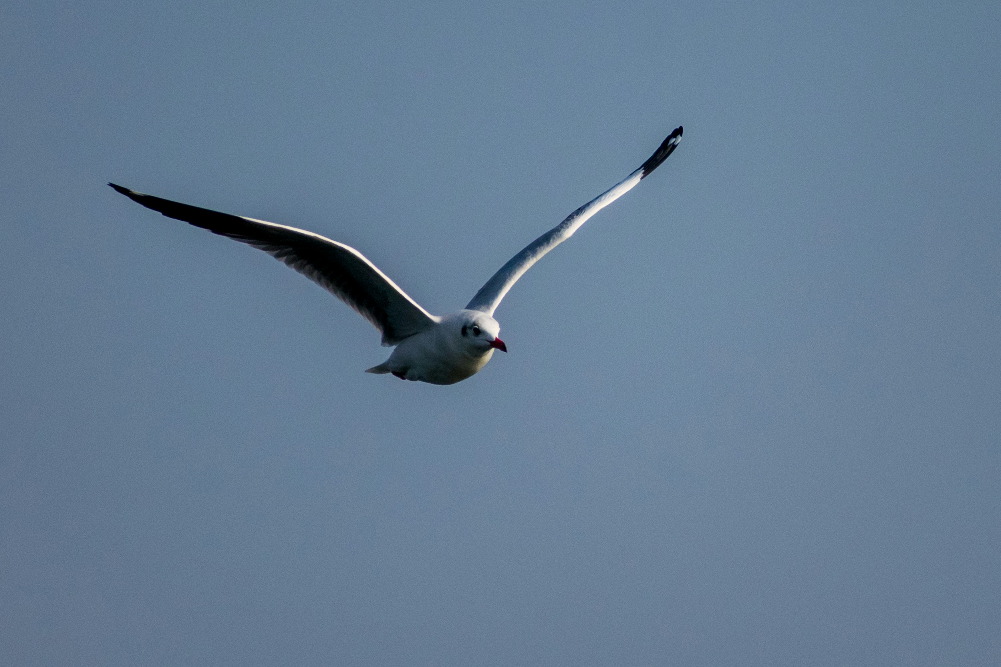 Photo by sonika_agarwal